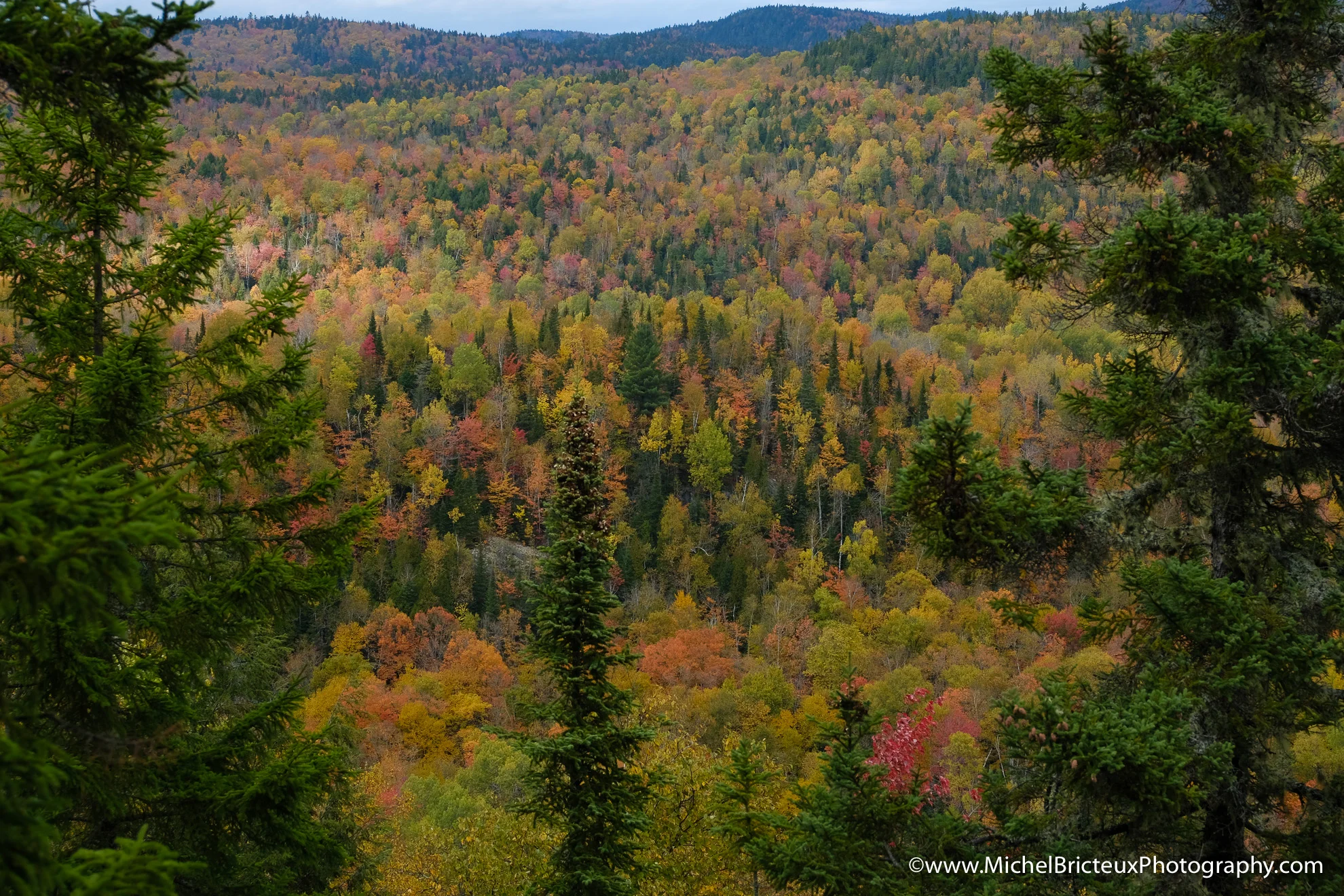 CA-Parc National de la Mauricie 2017 7814 Lowres.jpg