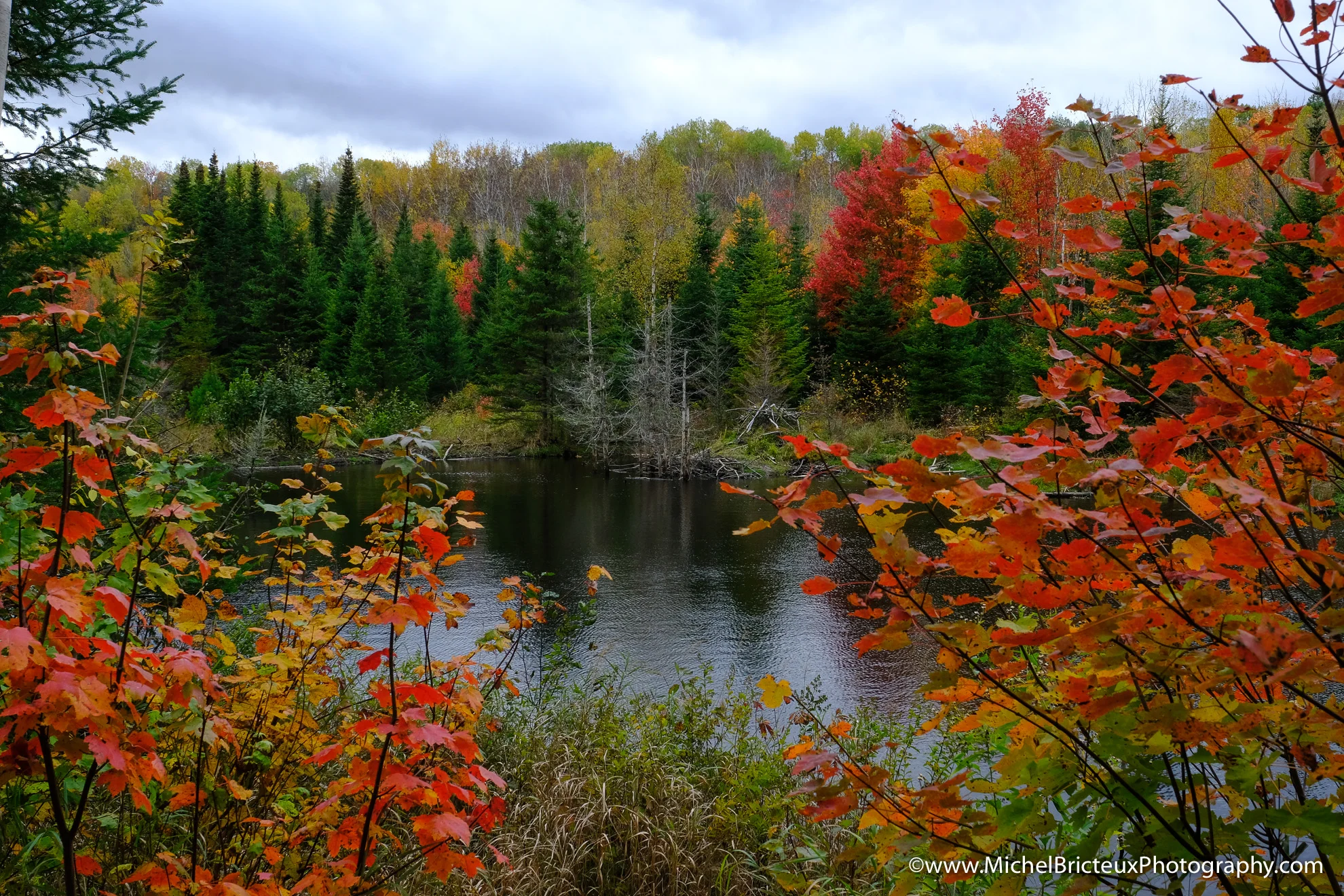 CA-Parc National de la Mauricie 2017 7777 Lowres.jpg