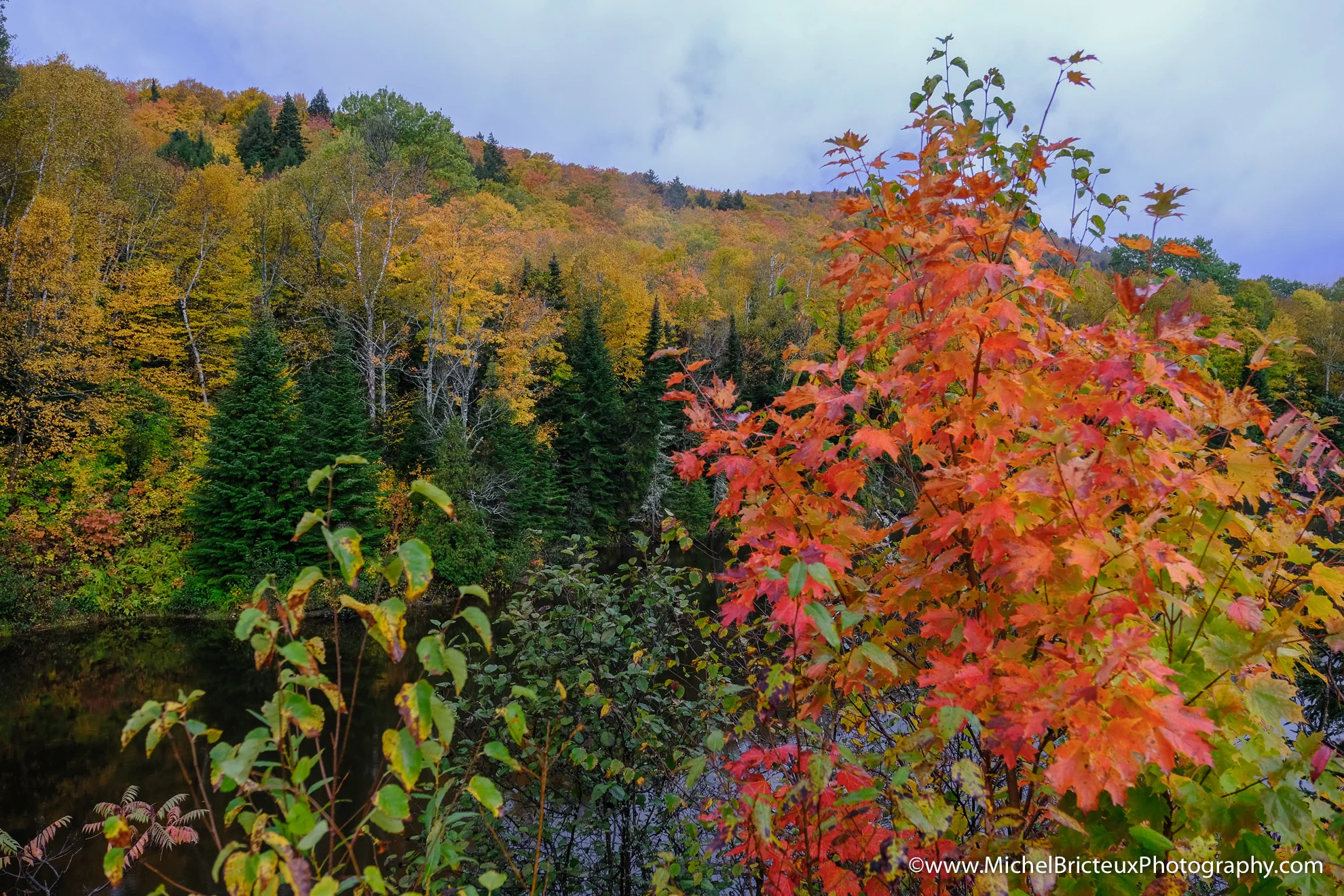 CA-Parc National de la Mauricie 2017 7629 Lowres.jpg