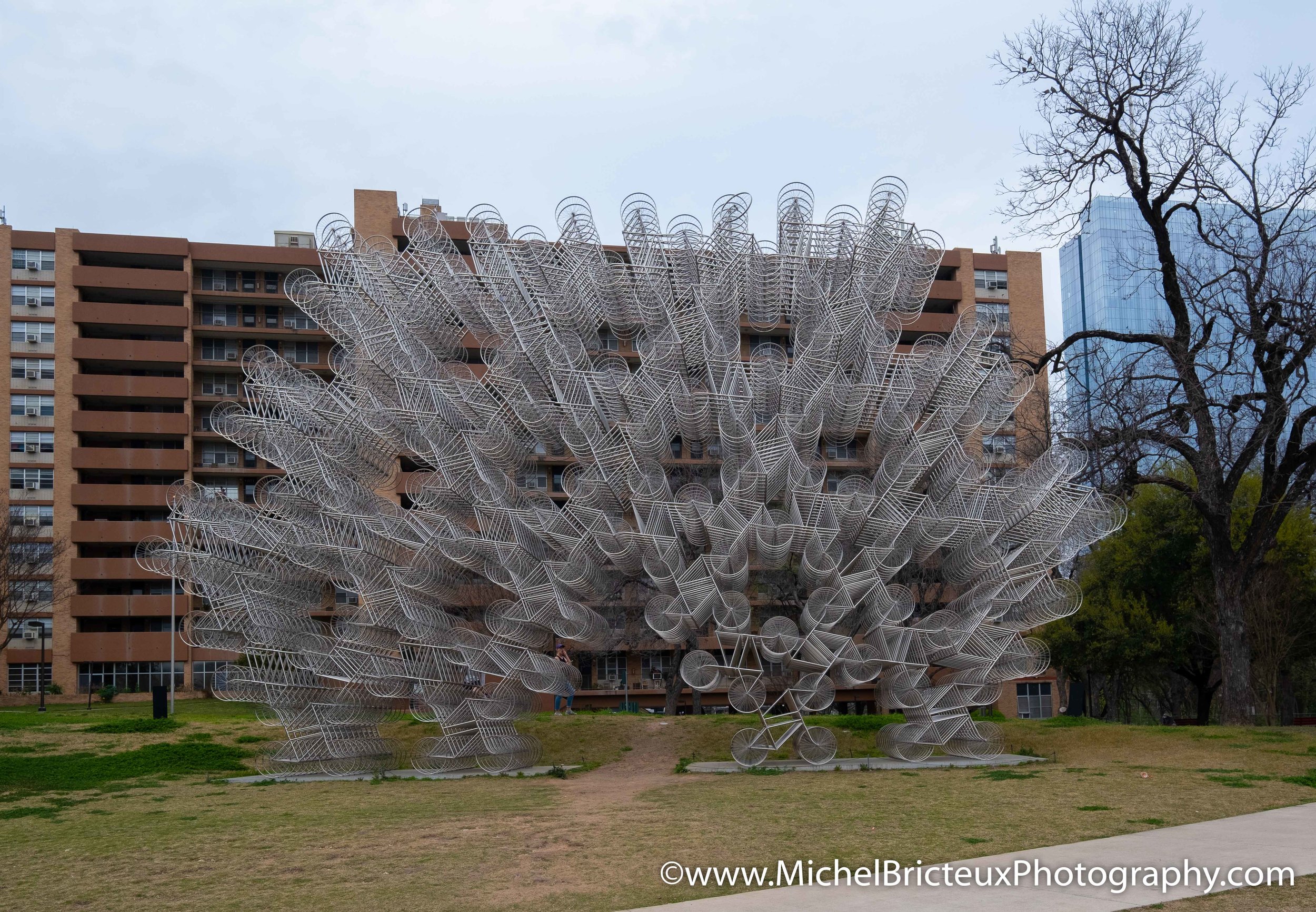 SXSW2019 - Web 7183.jpg