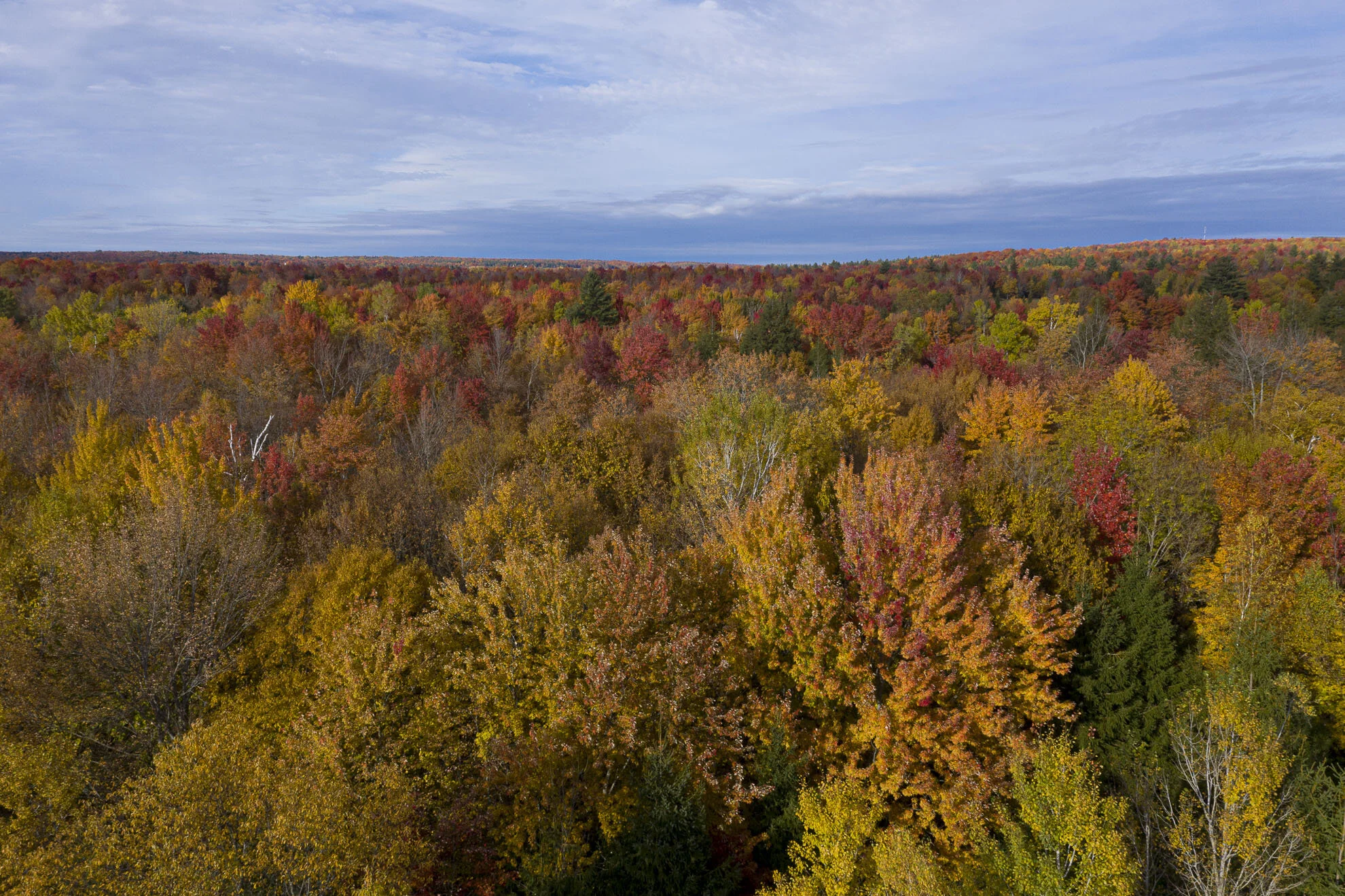 CA-QC - Cantons de l Est - Les couleurs 2019 0691web.jpg