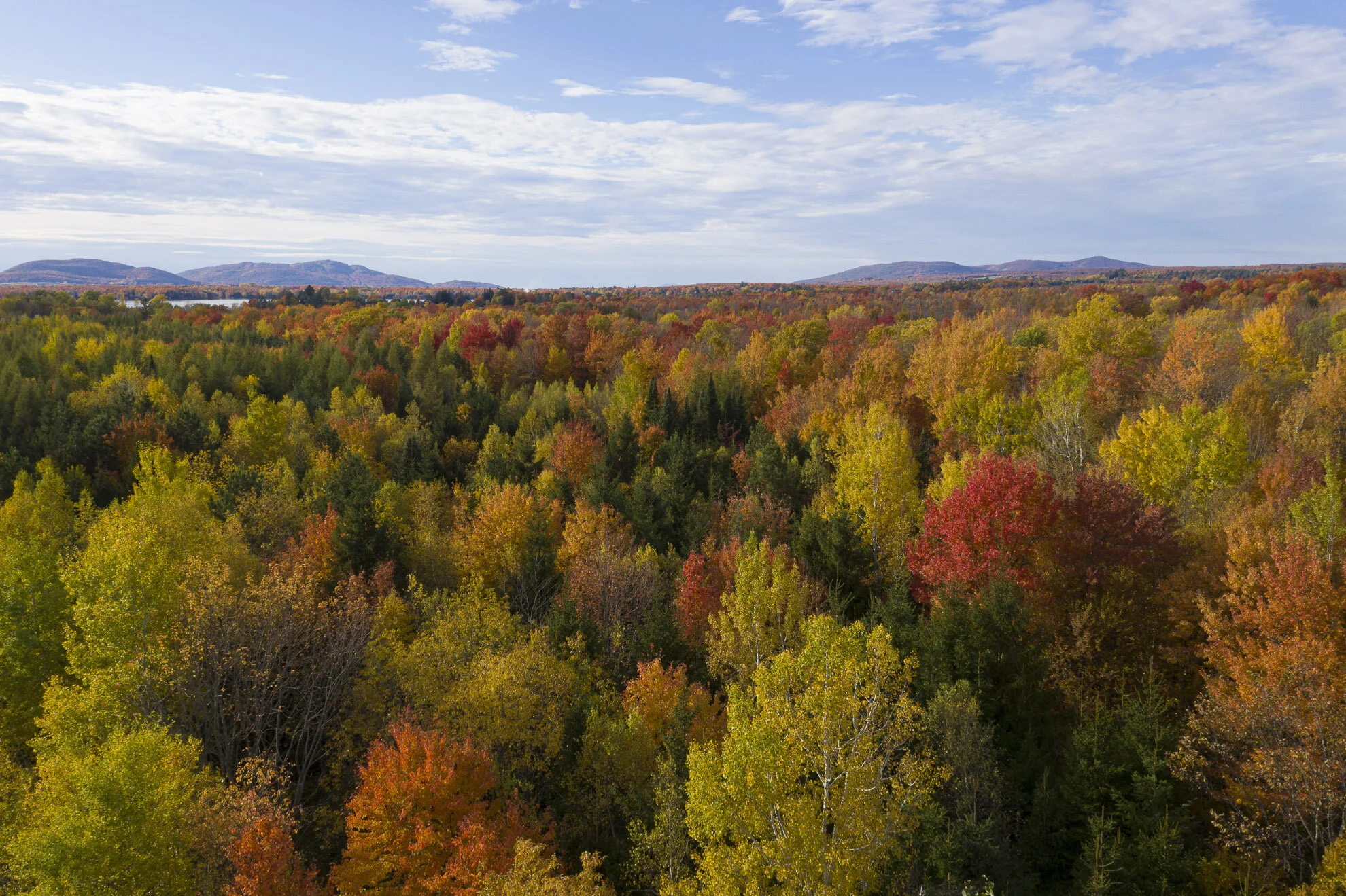 CA-QC - Cantons de l Est - Les couleurs 2019 0692web.jpg
