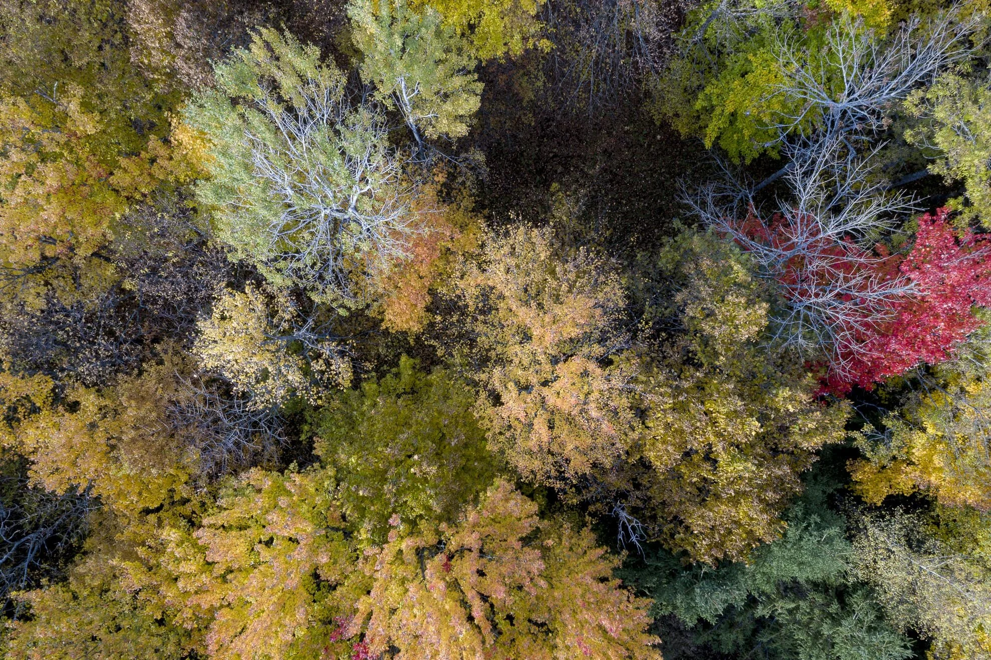 CA-QC - Cantons de l Est - Les couleurs 2019 0695web.jpg