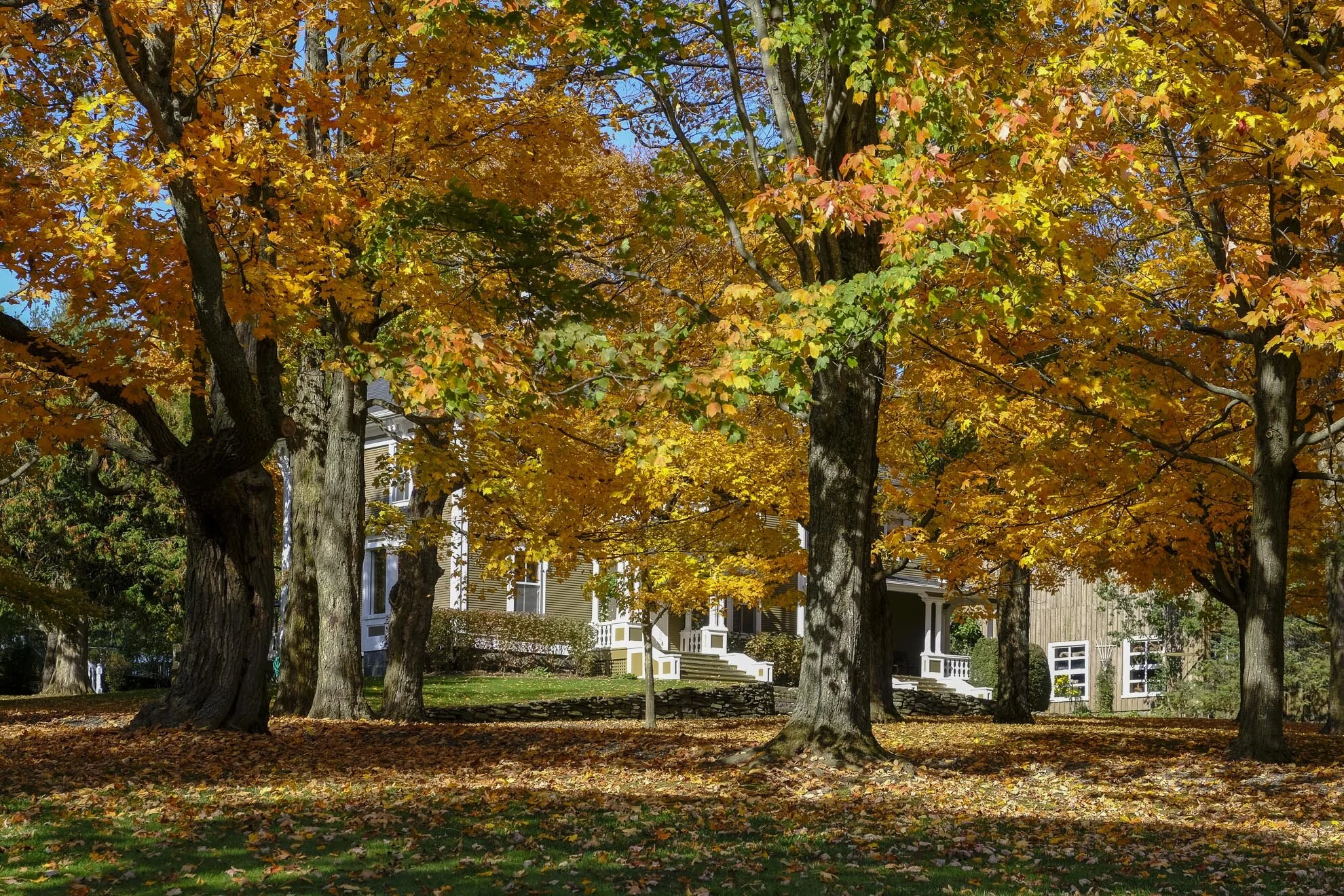 CA-QC - Cantons de l Est - Les couleurs 2019 4913web.jpg