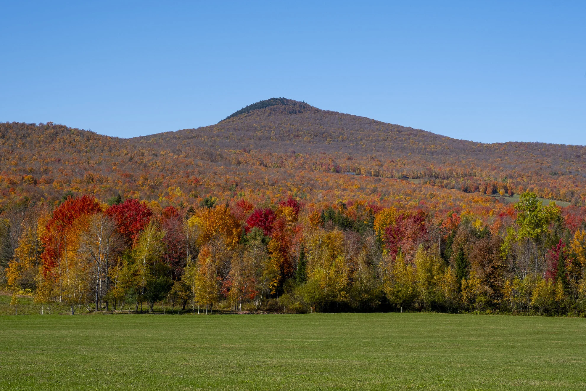 CA-QC - Cantons de l Est - Les couleurs 2019 4929web.jpg