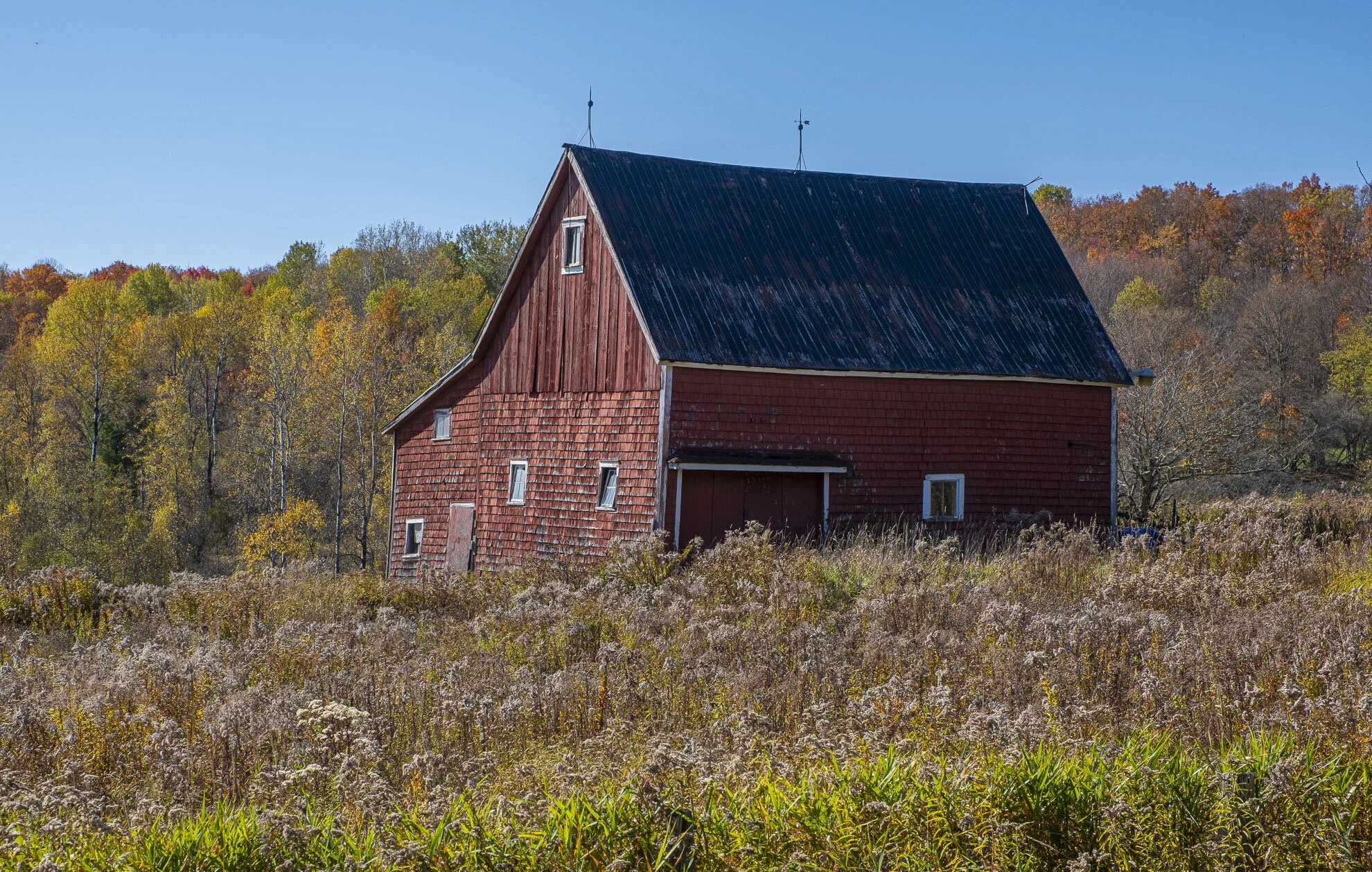 CA-QC - Cantons de l Est - Les couleurs 2019 4922web.jpg