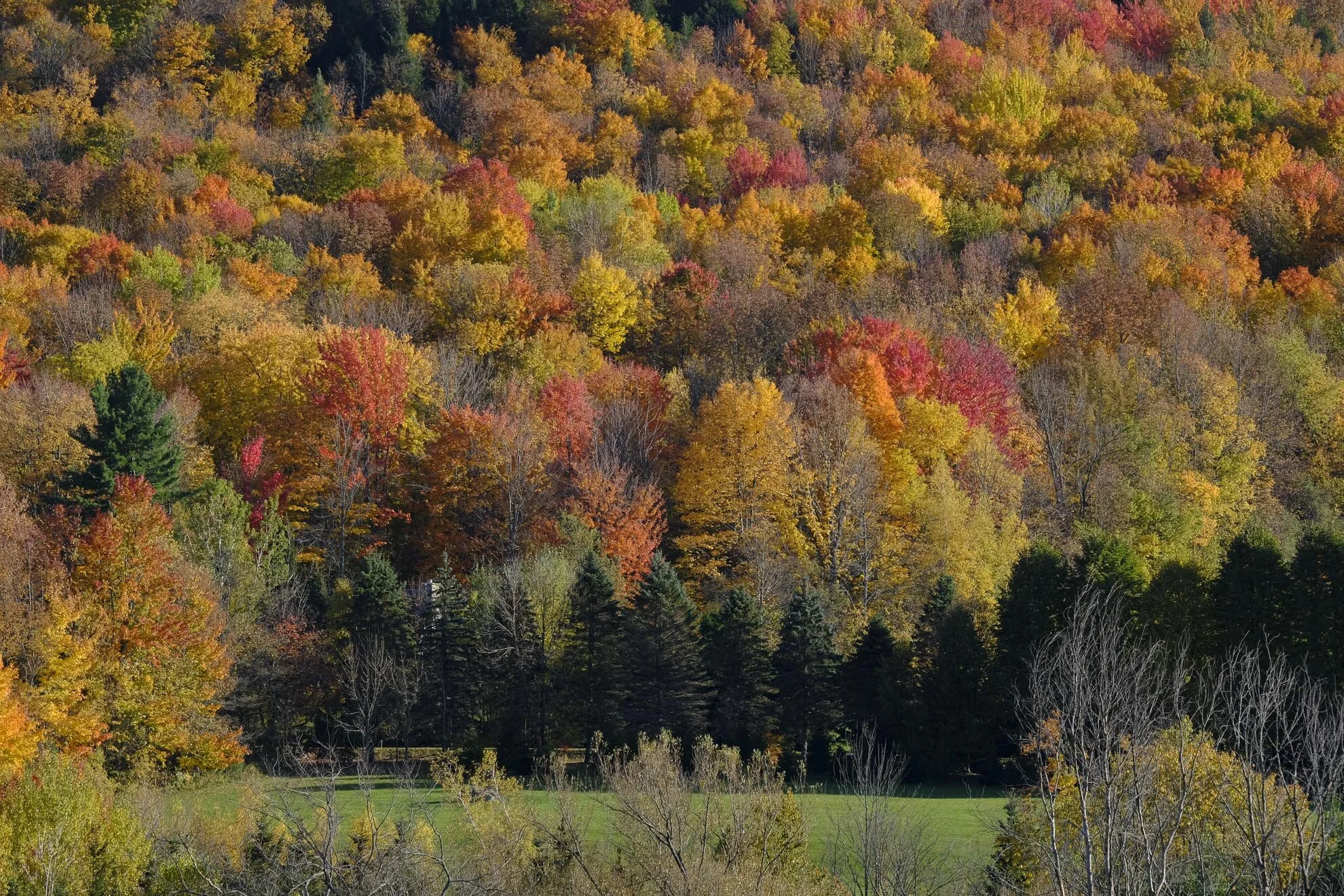 CA-QC - Cantons de l Est - Les couleurs 2019 4975web.jpg