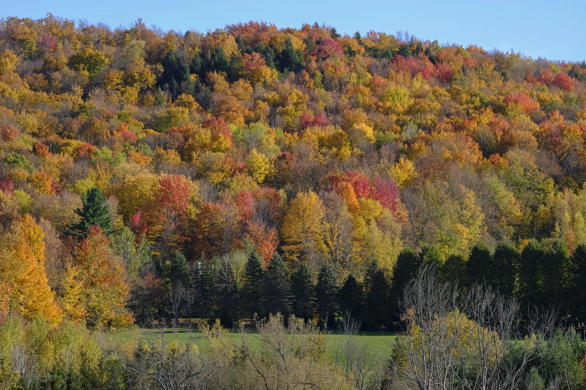 CA-QC - Cantons de l Est - Les couleurs 2019 4976web.jpg