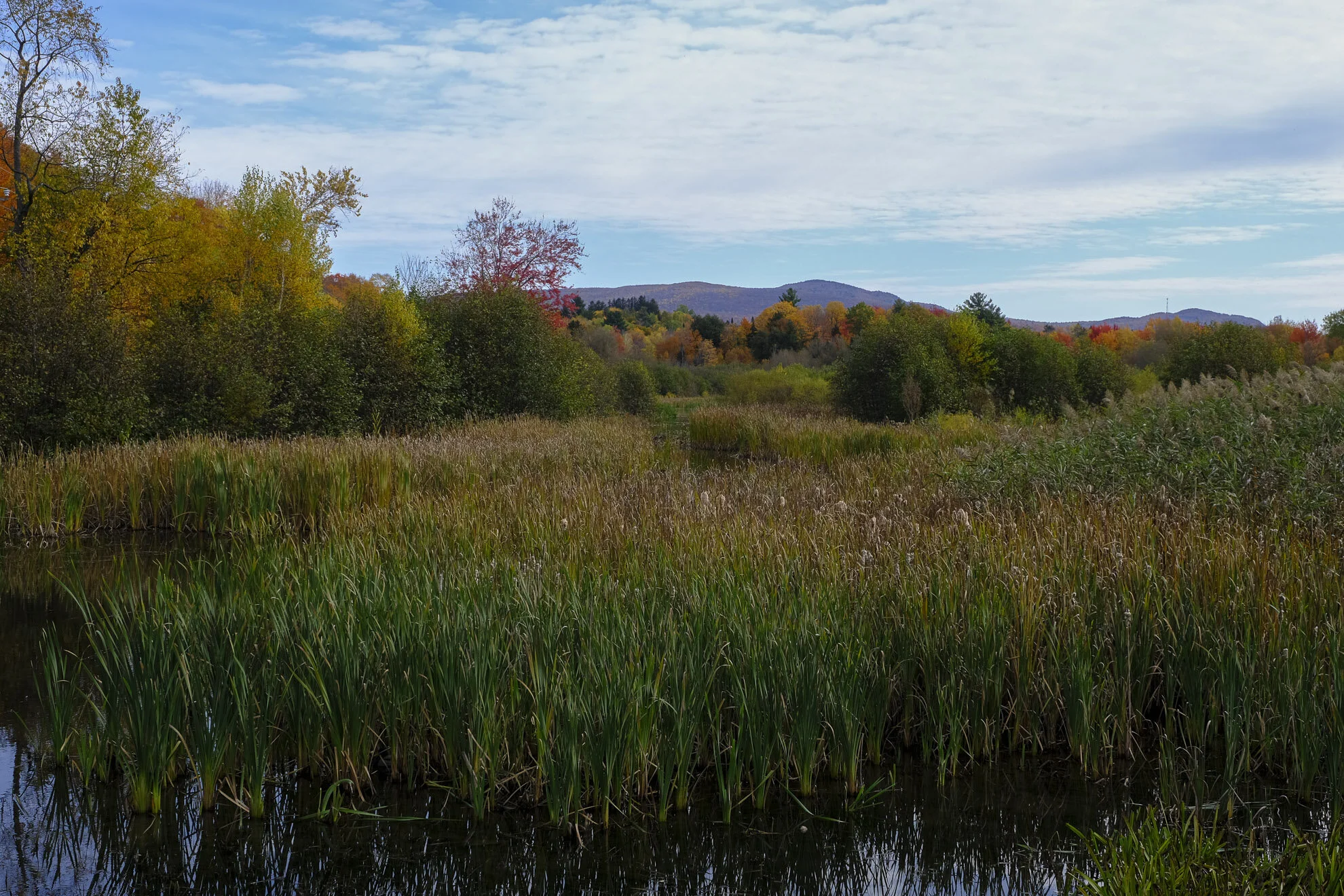 CA-QC - Cantons de l Est - Les couleurs 2019 4995web.jpg