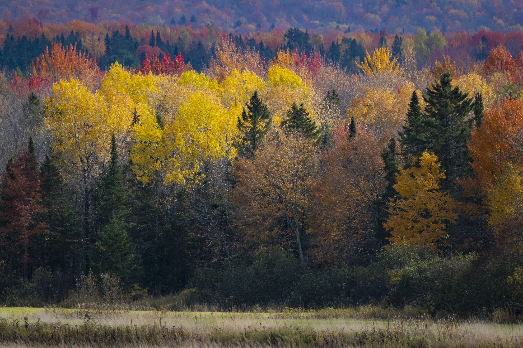 CA-QC - Cantons de l Est - Les couleurs 2019 5048web.jpg