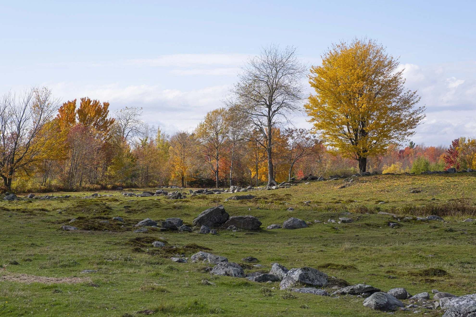 CA-QC - Cantons de l Est - Les couleurs 2019 5412web.jpg