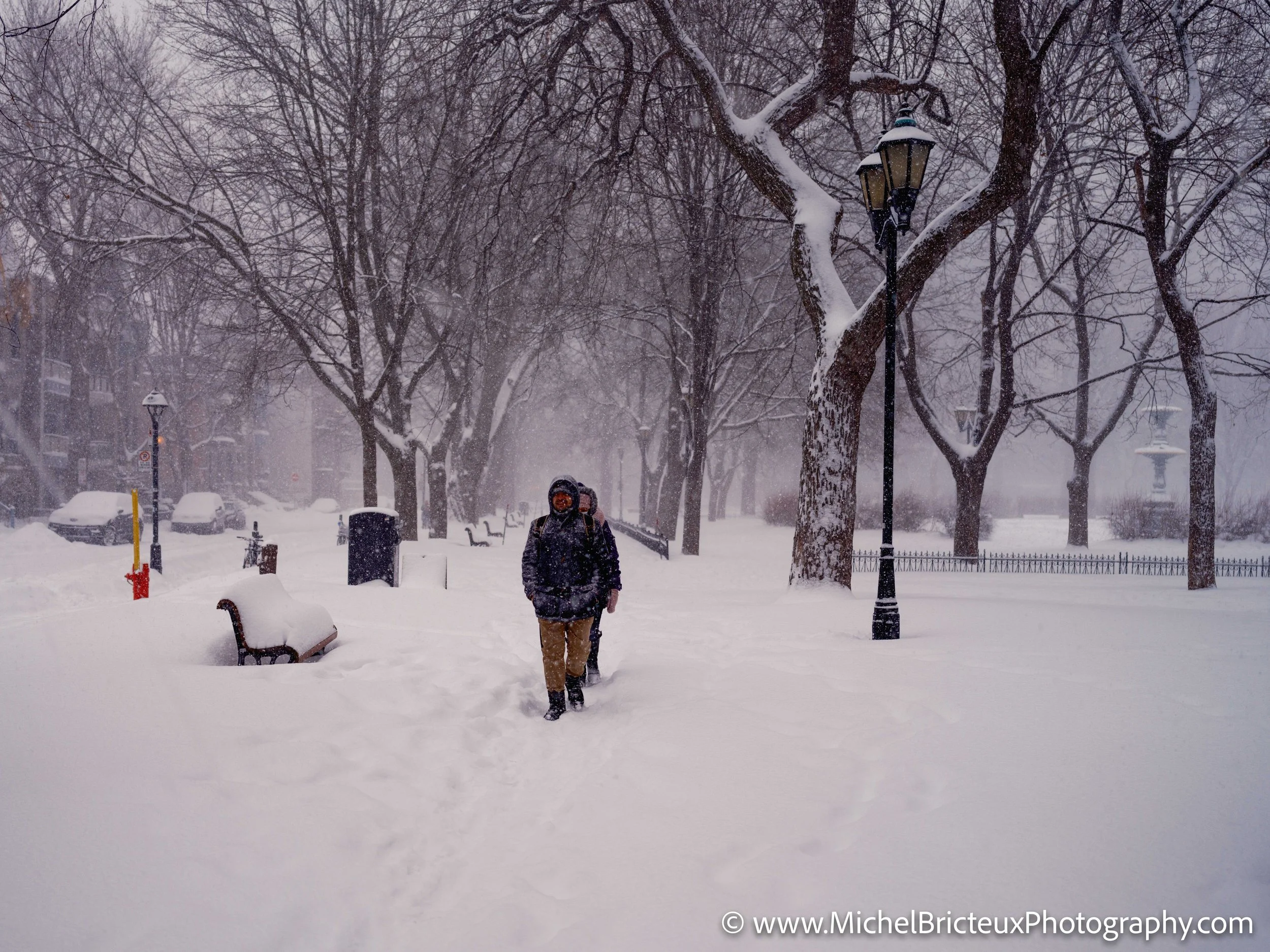 CA-MTL - Hiver a Montreal 7019.jpg