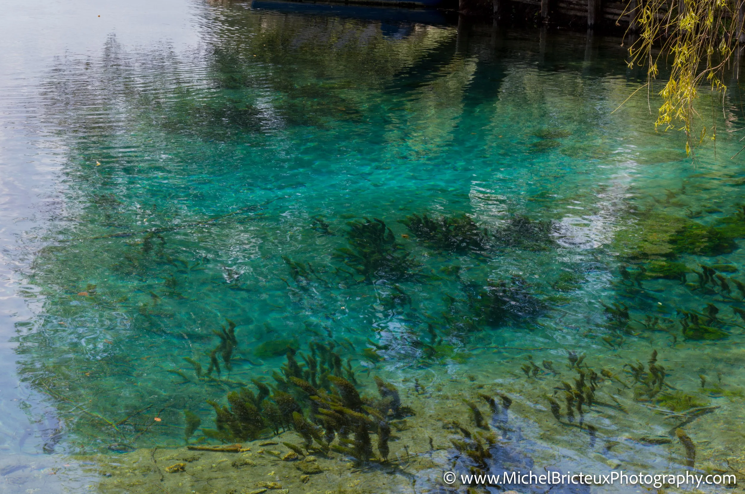 IT-Italia 2025 - Sora et Lago di Finebro 1008849 LowRes.jpg