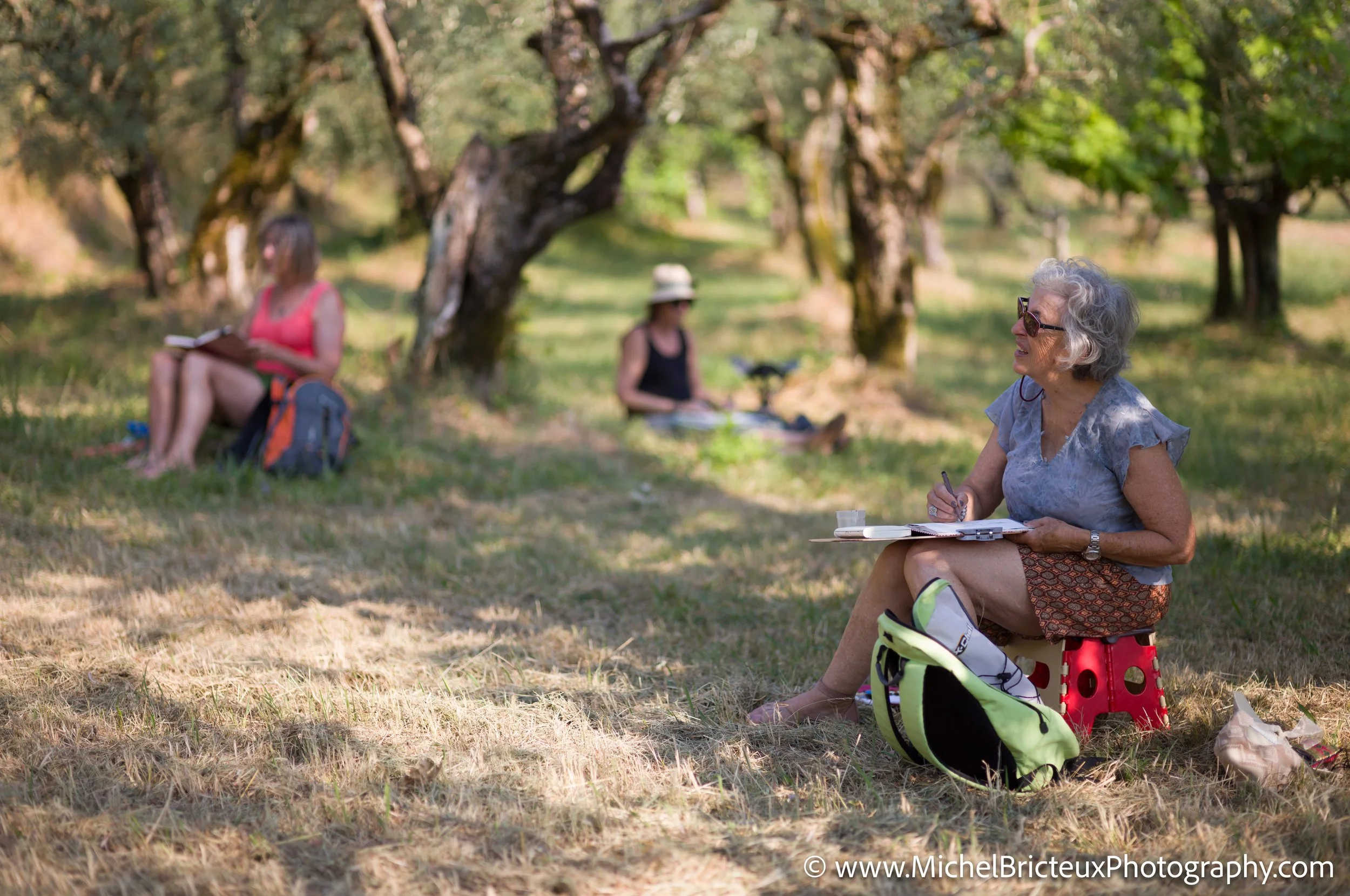 IT-Italia 2025 - Arpino - oliveraie 1008669 LowRes.jpg