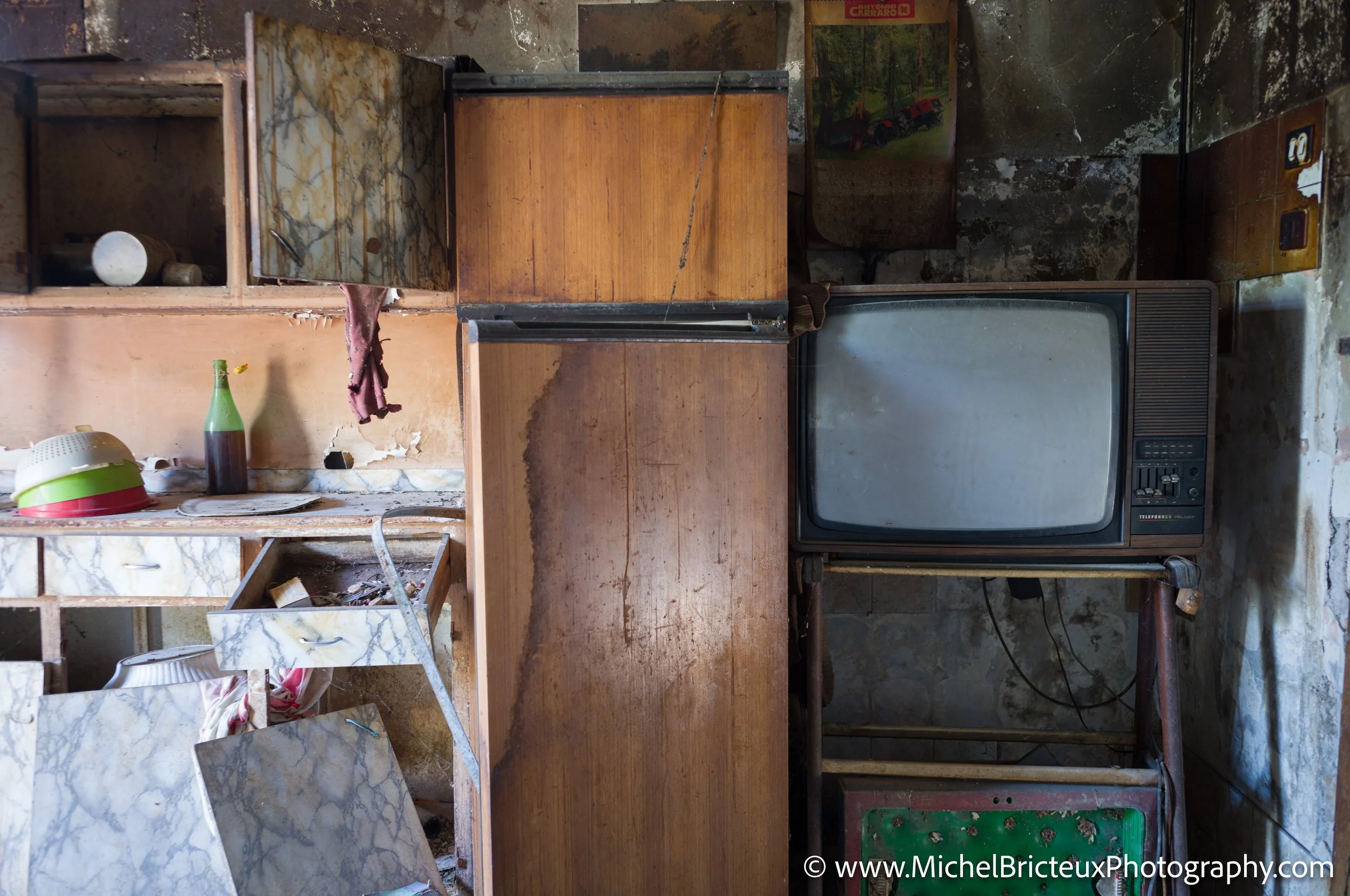IT-Italia 2025 - Arpino - oliveraie 1008637 LowRes.jpg