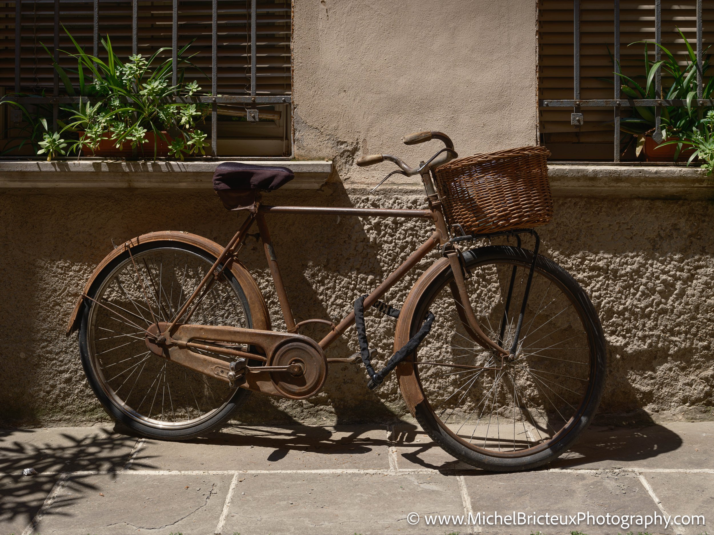 IT-Italia 2025 - Cremona 0026 LowRes.jpg