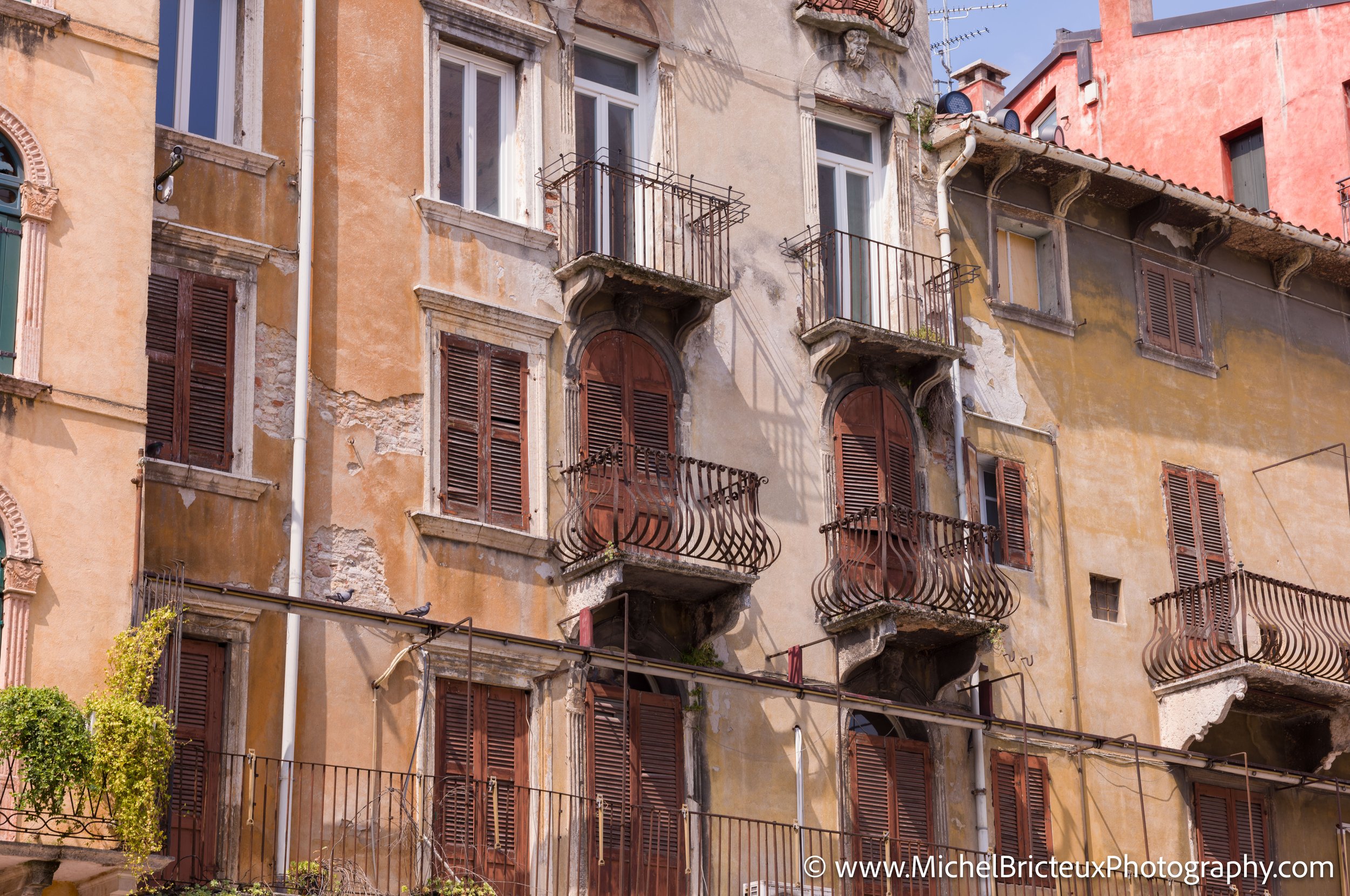 IT-Italia 2025 - Verona 1008120 LowRes.jpg