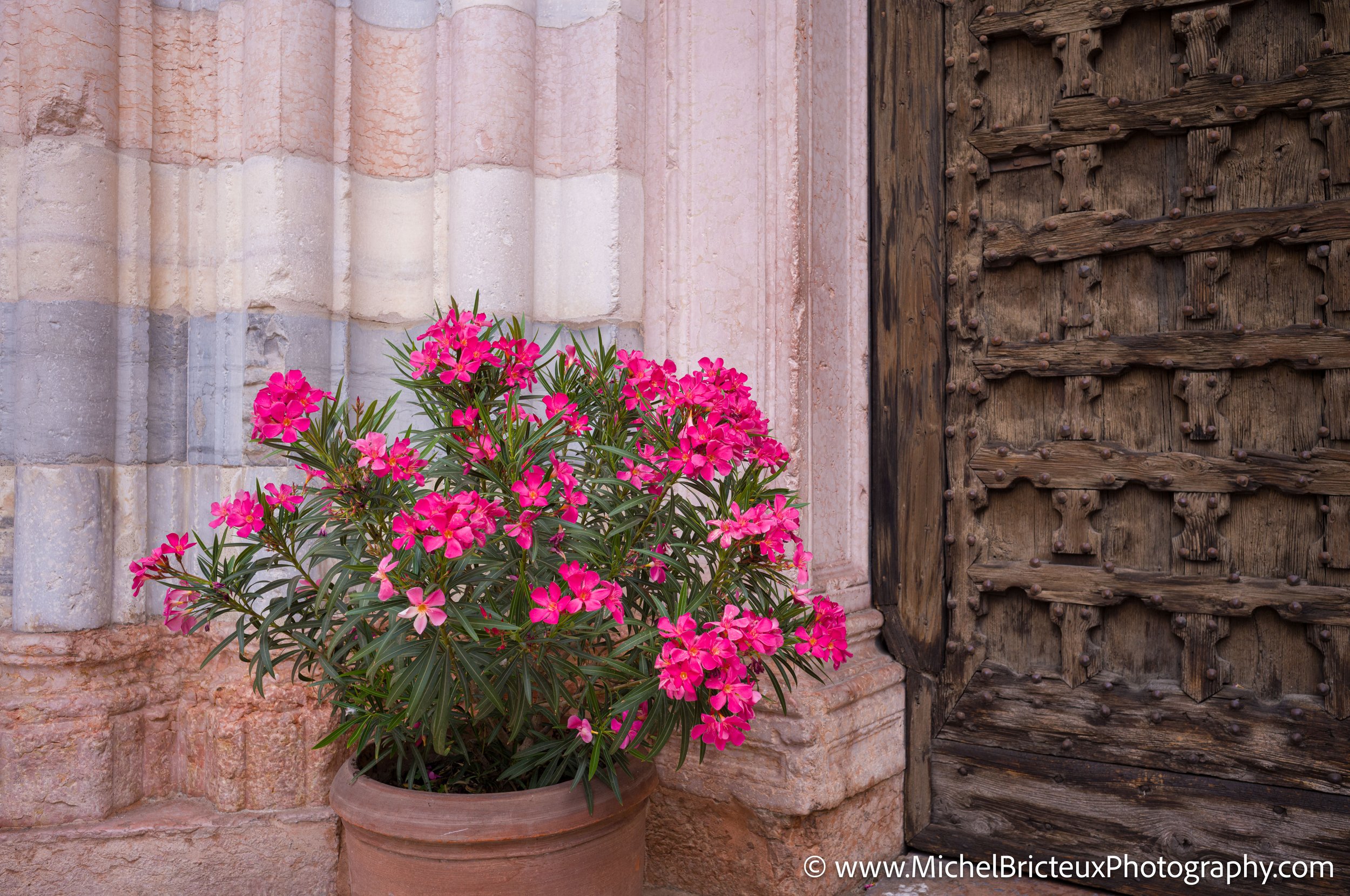 IT-Italia 2025 - Verona 1008164 LowRes.jpg