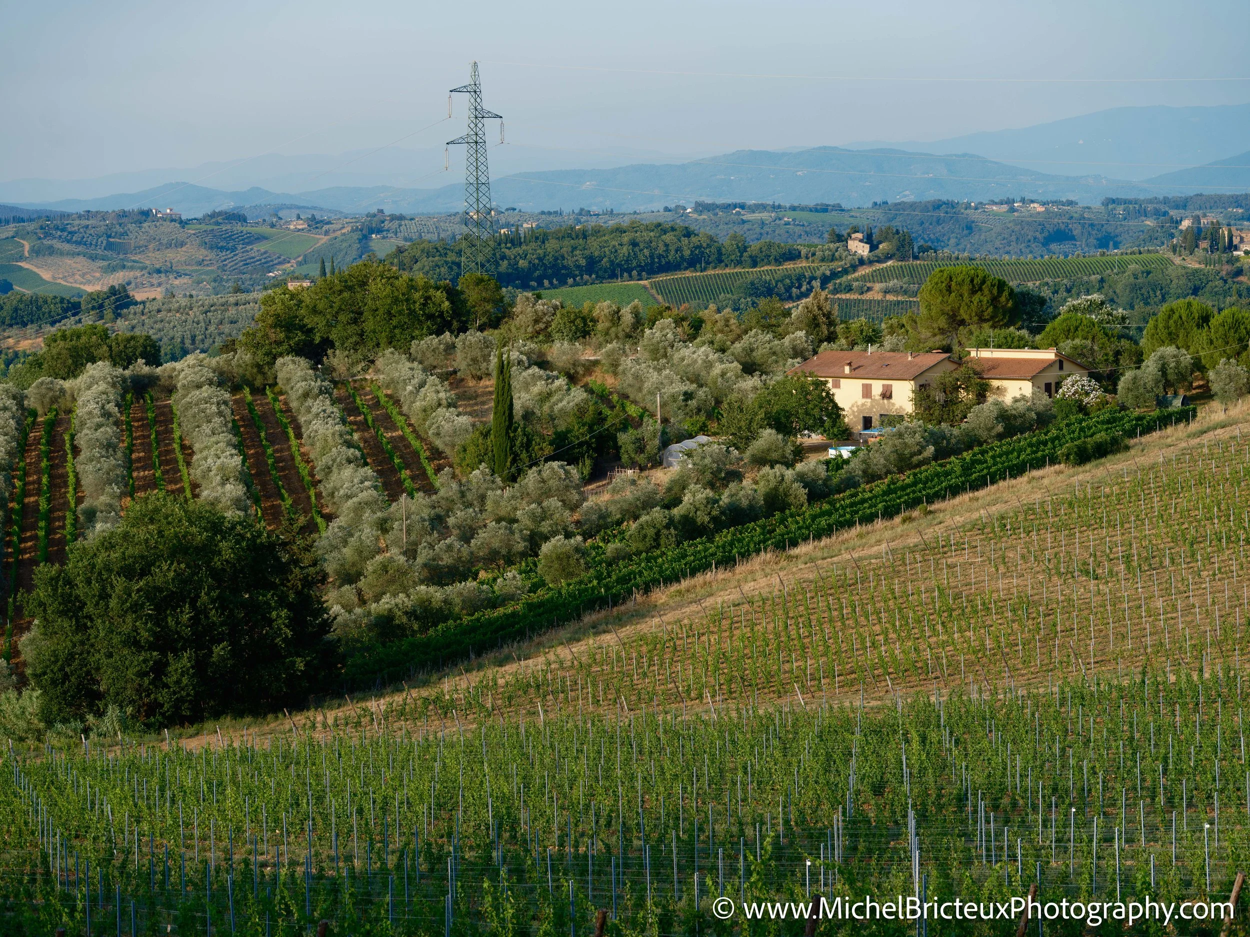 IT-Italia 2025 - Tenuta il Corno 0249 LowRes.jpg