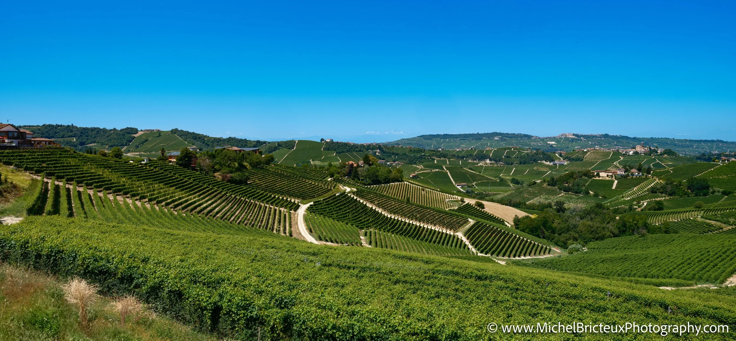 IT-Italia 2025 - Serralunga d Alba and wine country 0548 LowRes.jpg