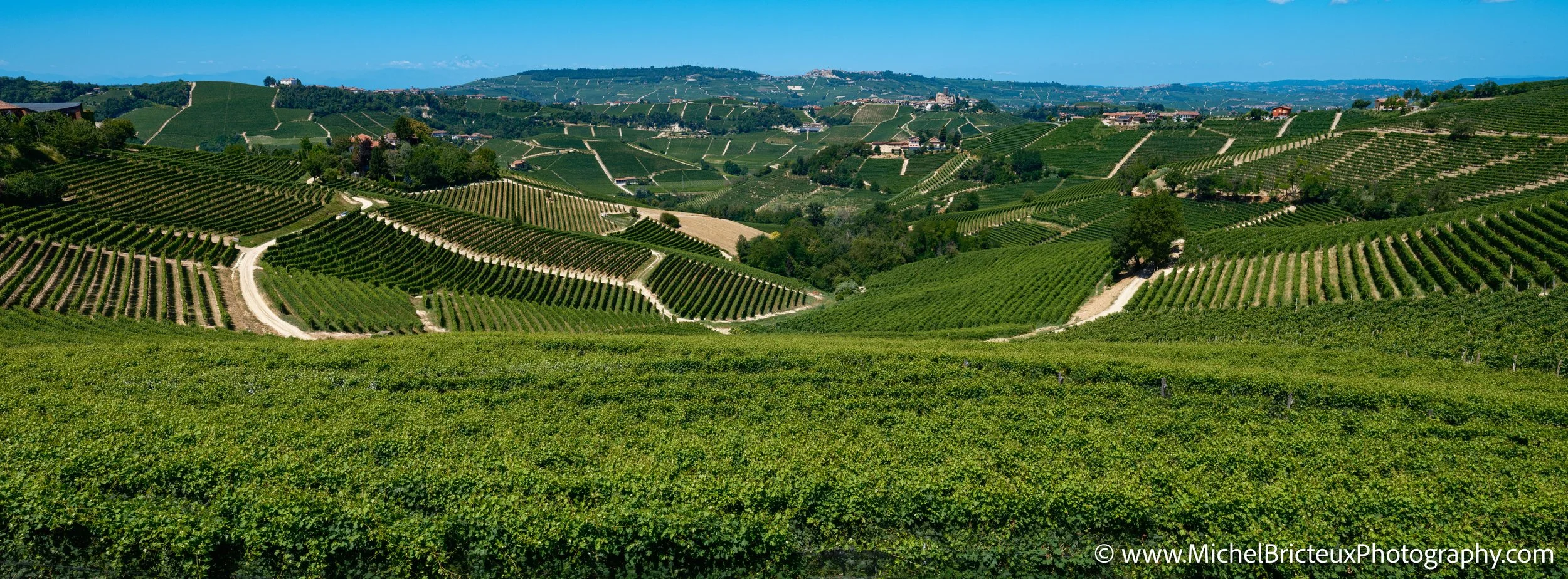 IT-Italia 2025 - Serralunga d Alba and wine country 0556 LowRes.jpg