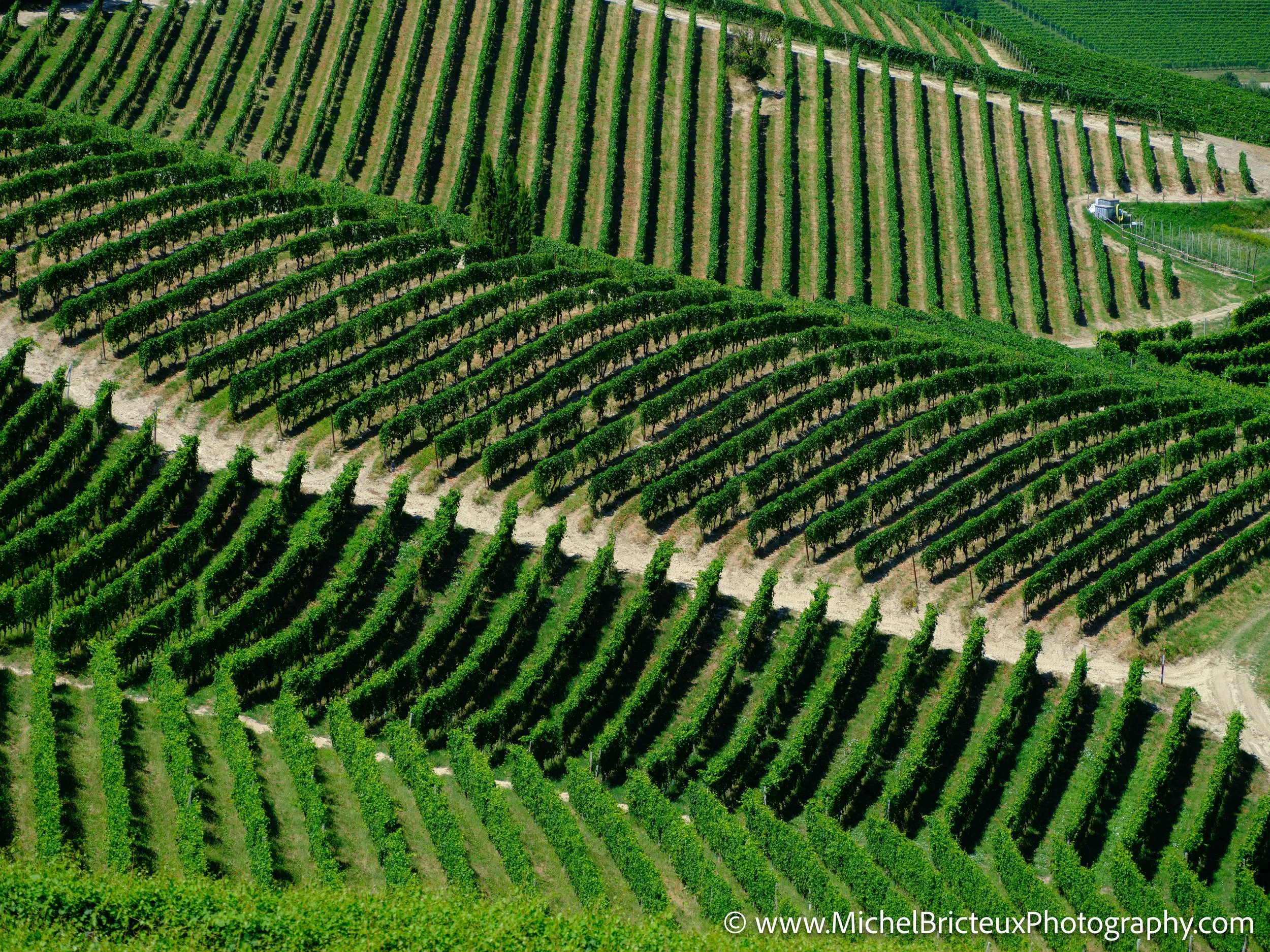 IT-Italia 2025 - Serralunga d Alba and wine country 0558 LowRes.jpg