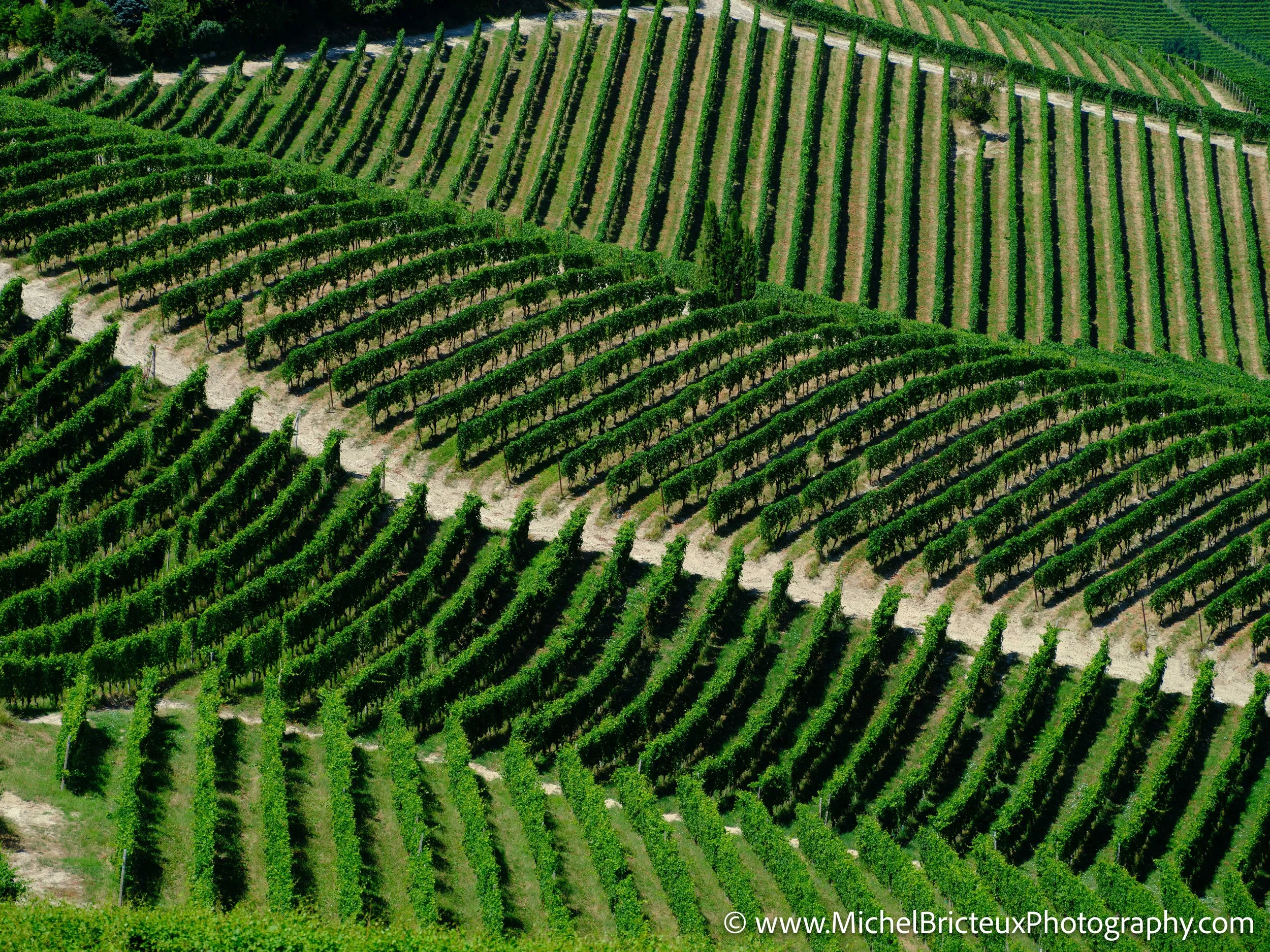 IT-Italia 2025 - Serralunga d Alba and wine country 0561 LowRes.jpg