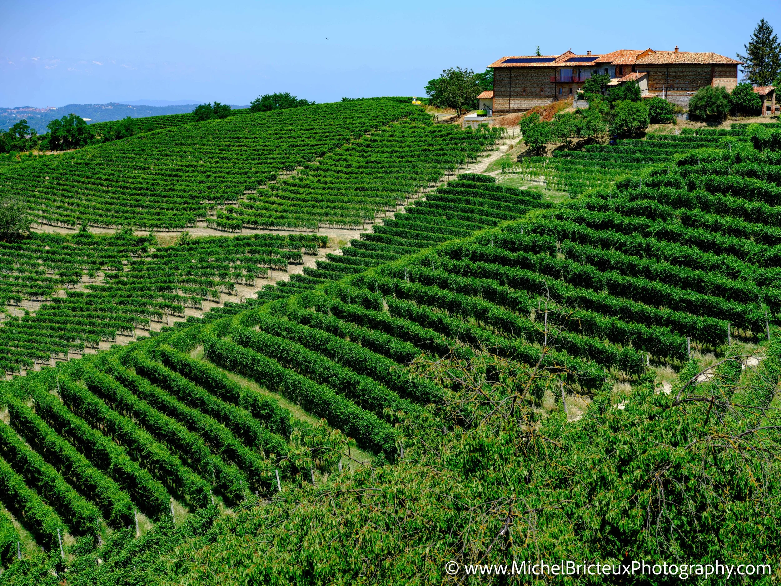 IT-Italia 2025 - Serralunga d Alba and wine country 0565 LowRes.jpg