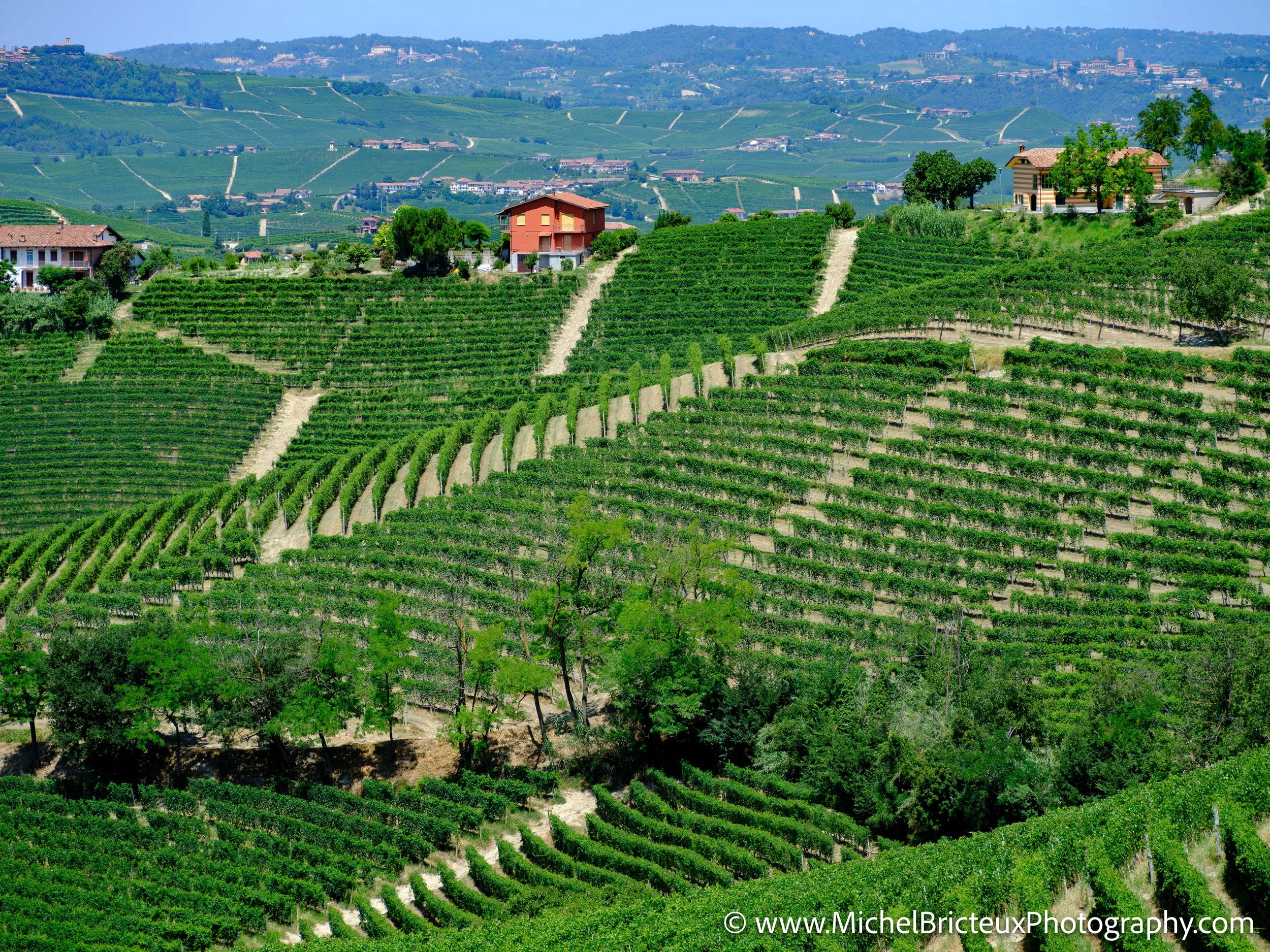 IT-Italia 2025 - Serralunga d Alba and wine country 0566 LowRes.jpg