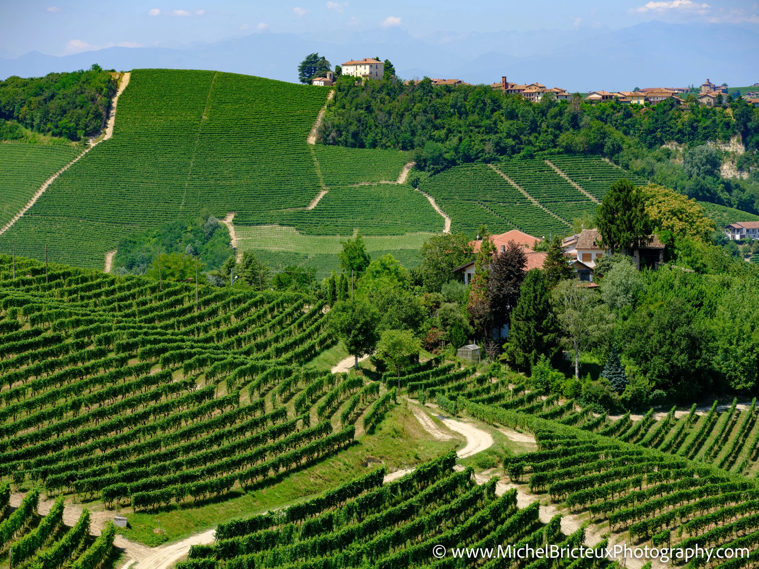IT-Italia 2025 - Serralunga d Alba and wine country 0567 LowRes.jpg