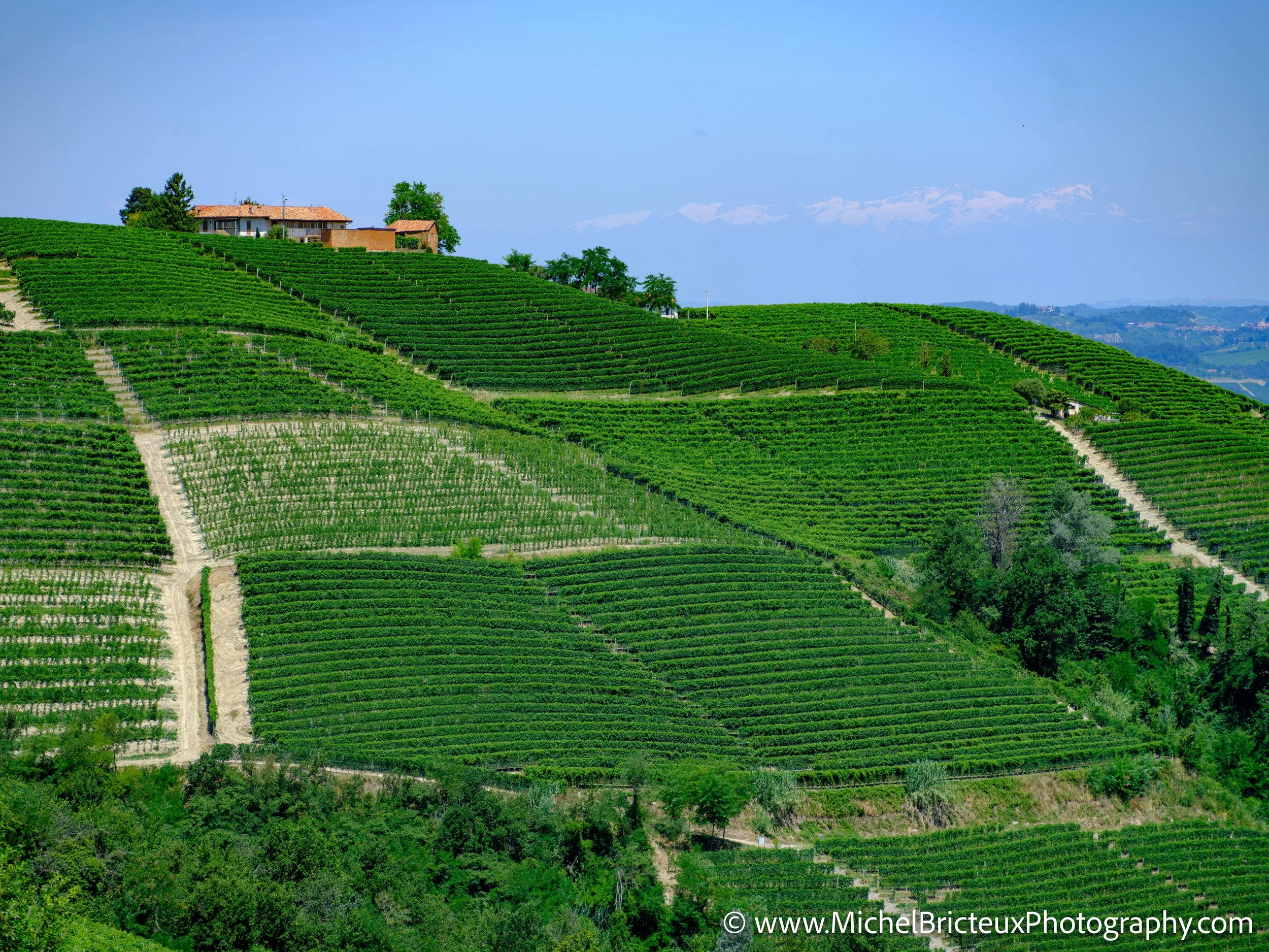 IT-Italia 2025 - Serralunga d Alba and wine country 0570 LowRes.jpg