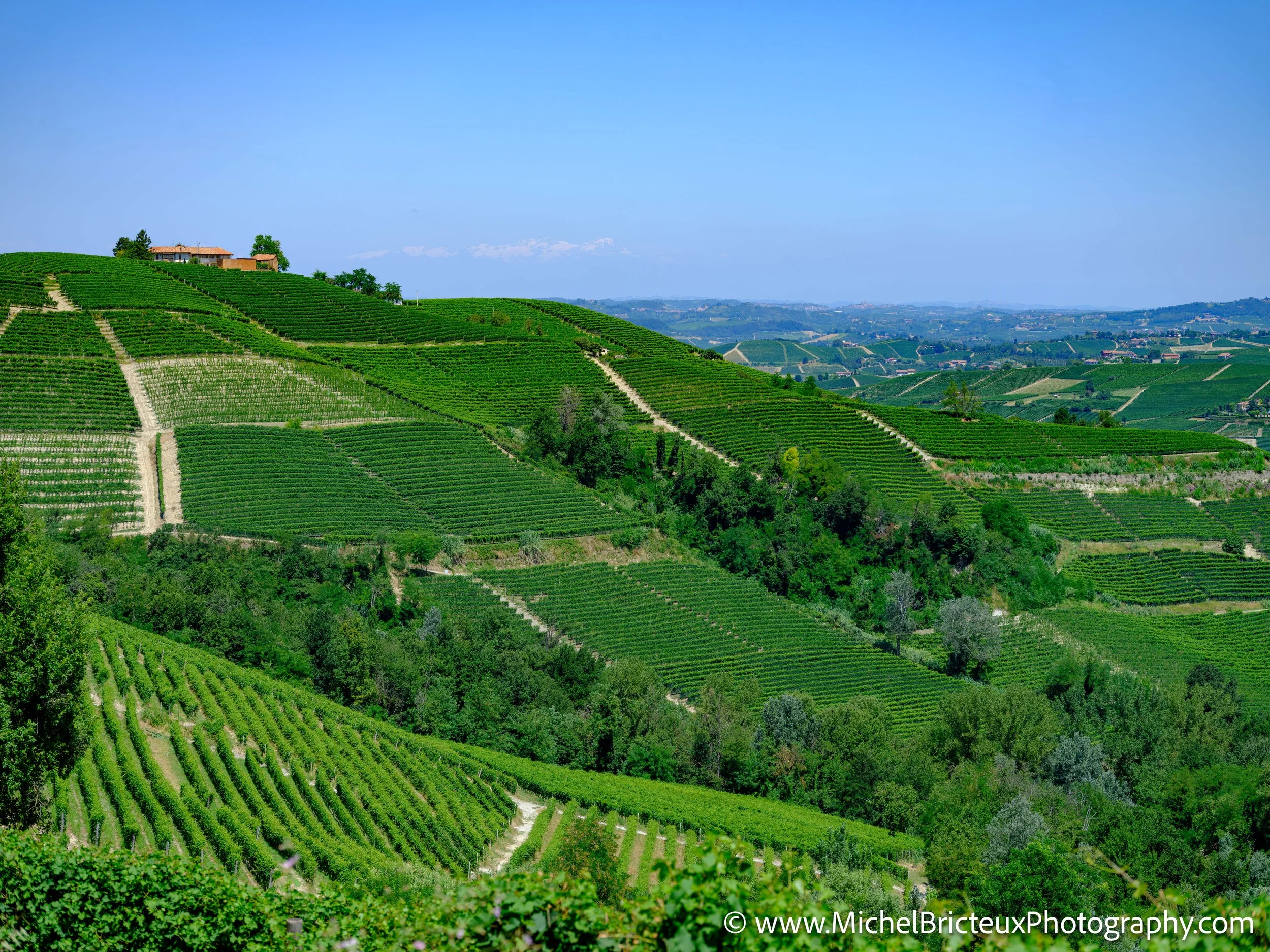 IT-Italia 2025 - Serralunga d Alba and wine country 0571 LowRes.jpg