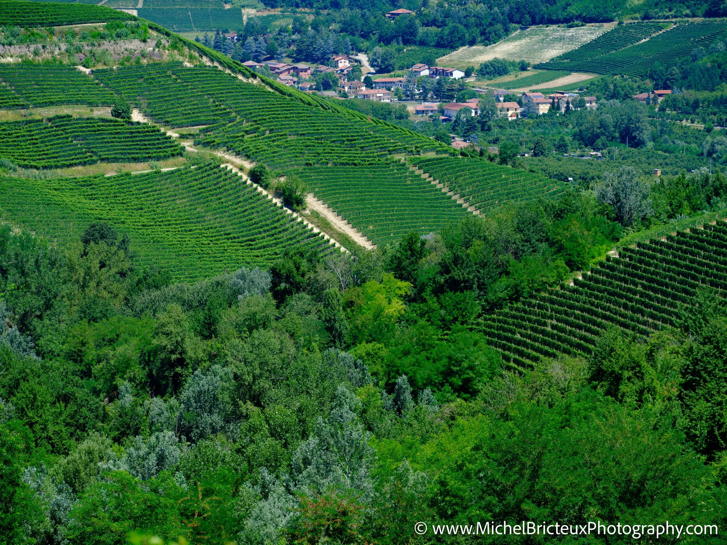 IT-Italia 2025 - Serralunga d Alba and wine country 0576 LowRes.jpg