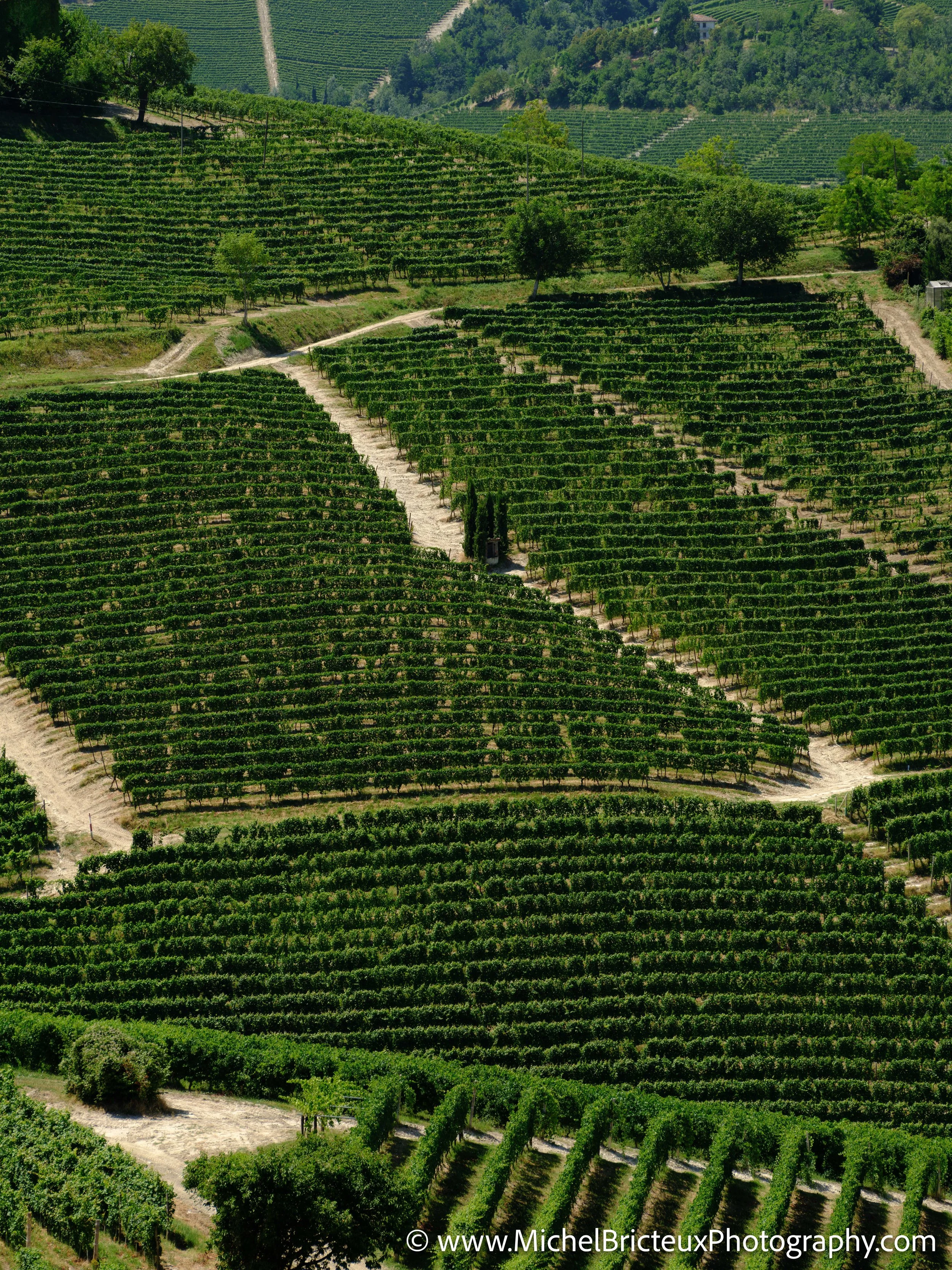 IT-Italia 2025 - Serralunga d Alba and wine country 0585 LowRes.jpg