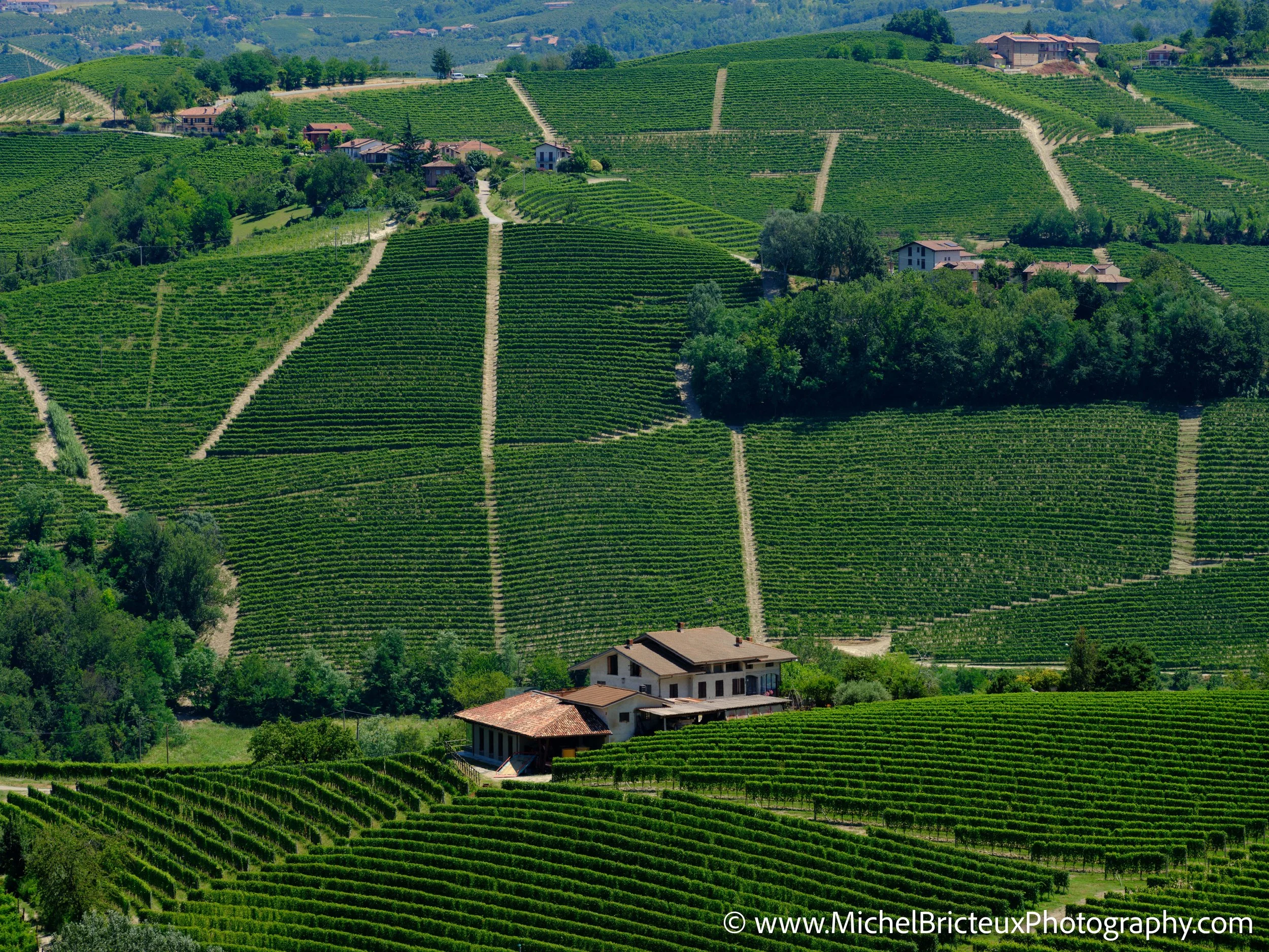 IT-Italia 2025 - Serralunga d Alba and wine country 0600 LowRes.jpg