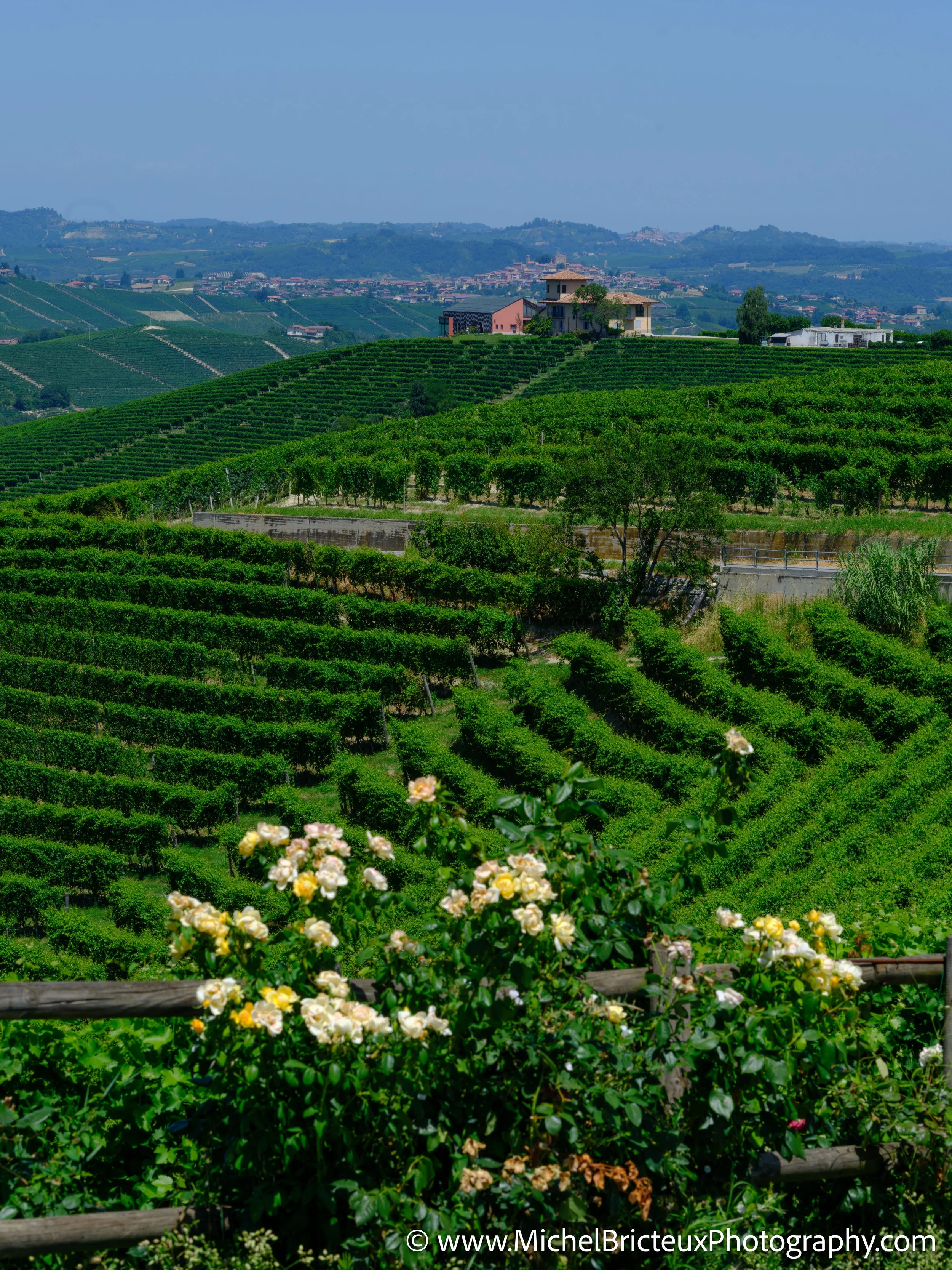 IT-Italia 2025 - Serralunga d Alba and wine country 0608 LowRes.jpg