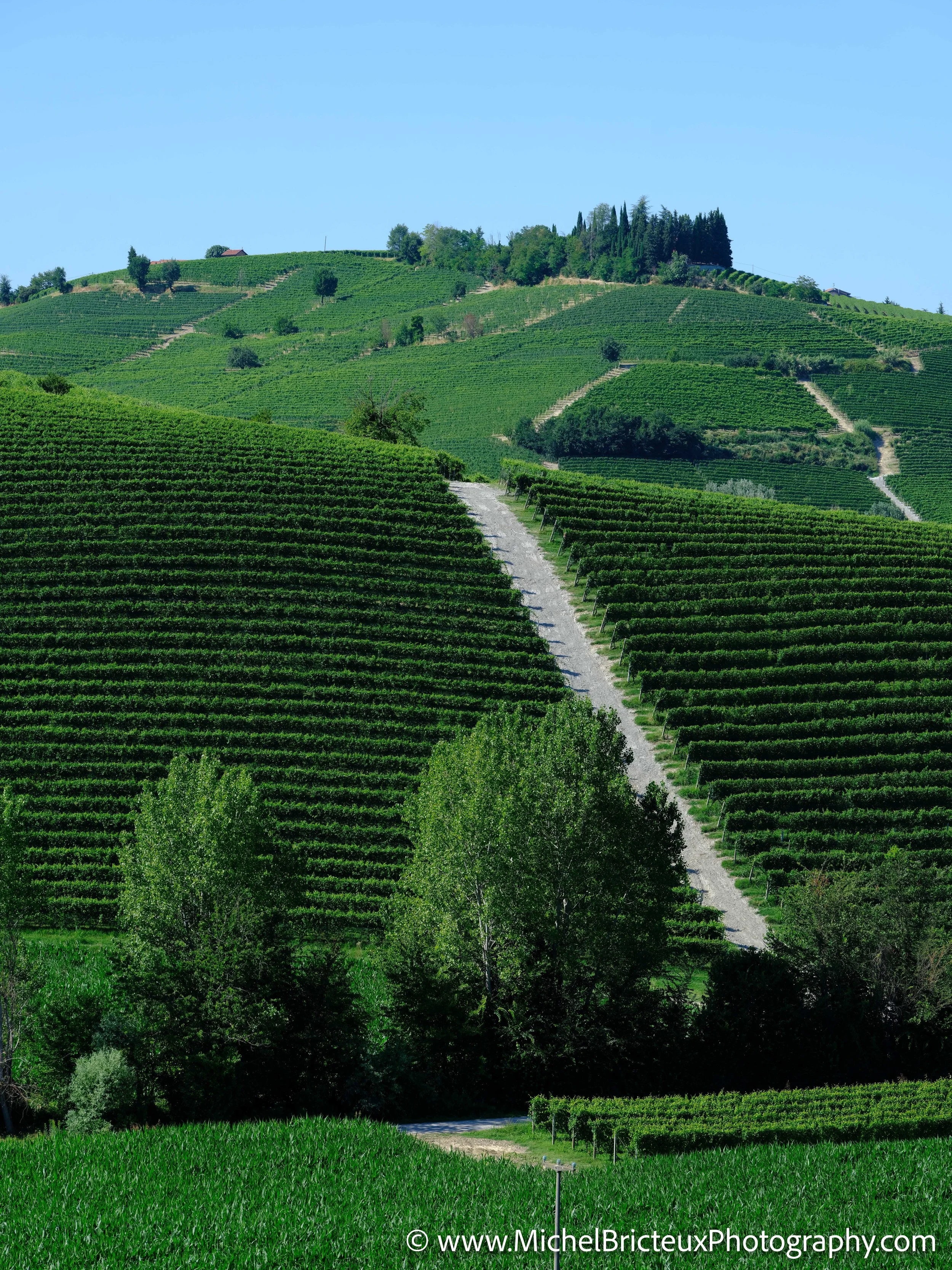 IT-Italia 2025 - Serralunga d Alba and wine country 0631 LowRes.jpg