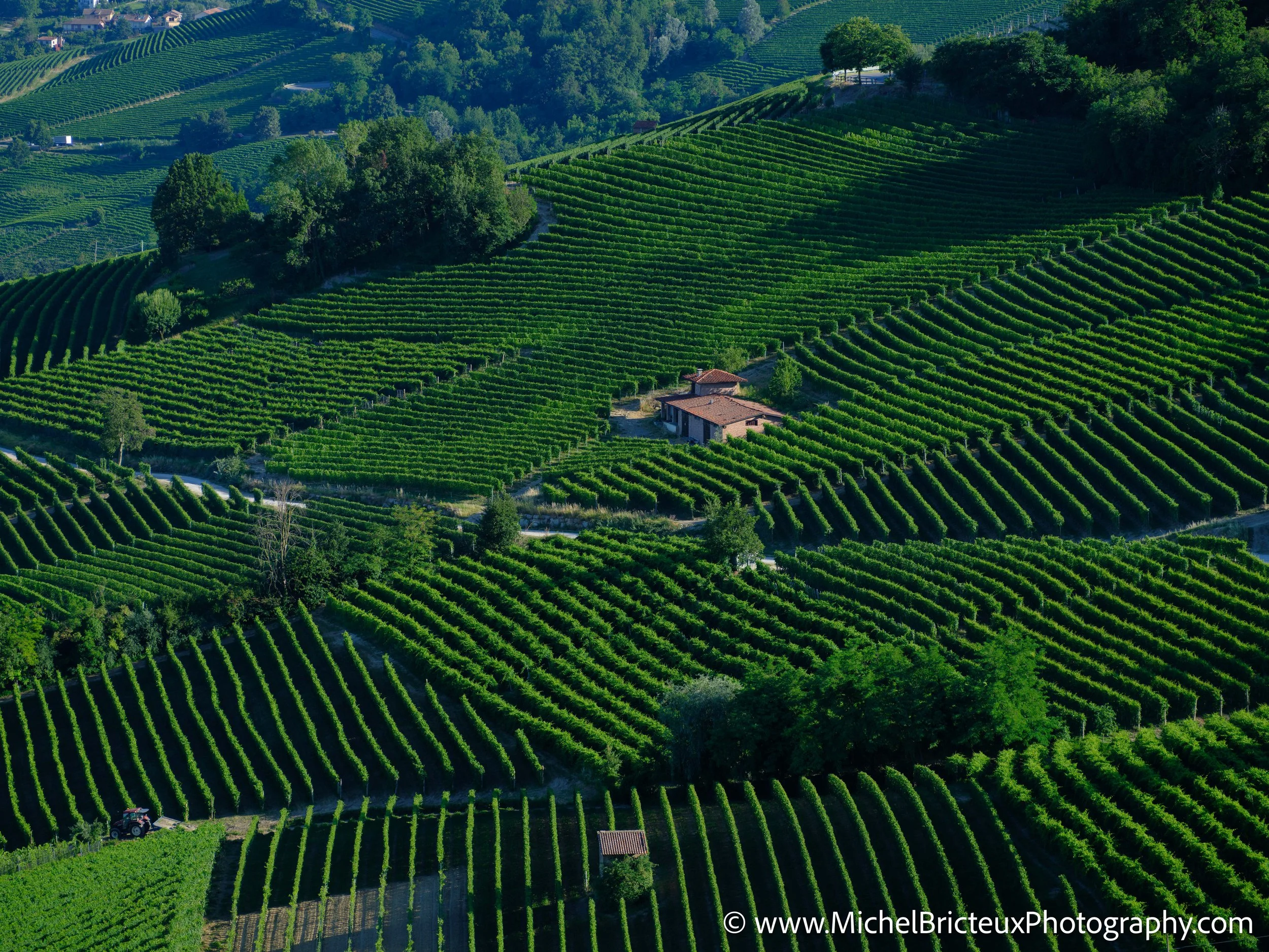 IT-Italia 2025 - Serralunga d Alba and wine country 0080 LowRes.jpg