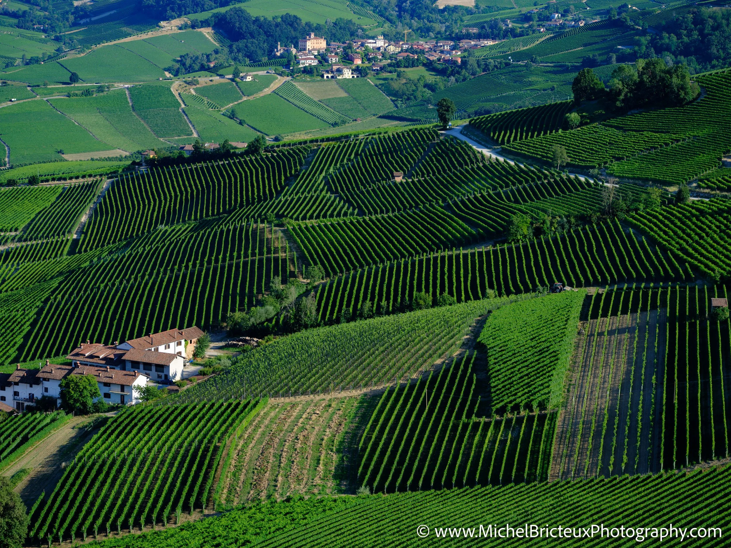 IT-Italia 2025 - Serralunga d Alba and wine country 0082 LowRes.jpg