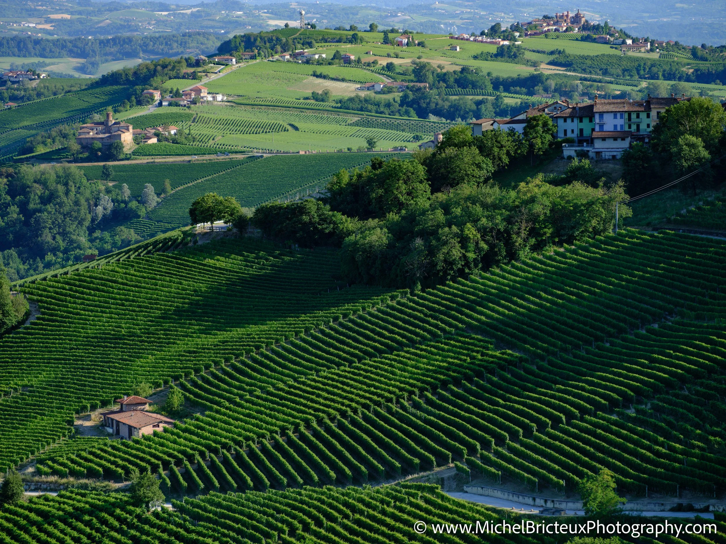IT-Italia 2025 - Serralunga d Alba and wine country 0083 LowRes.jpg