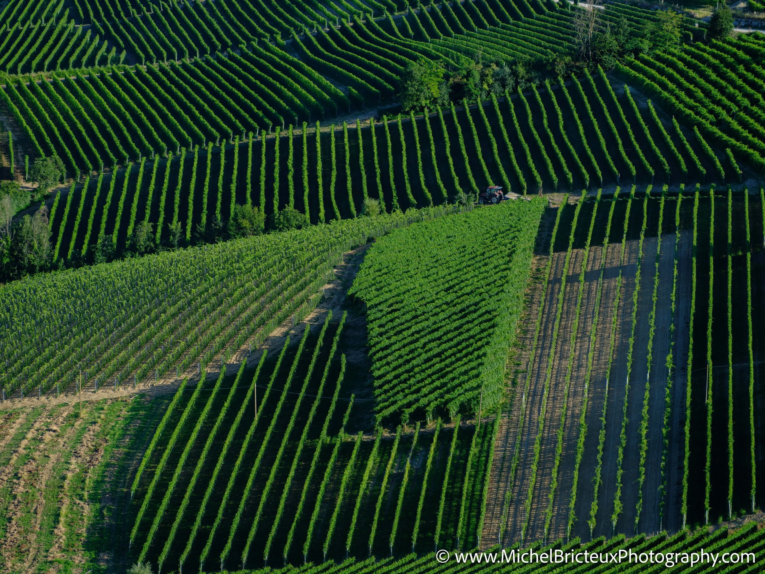 IT-Italia 2025 - Serralunga d Alba and wine country 0084 LowRes.jpg