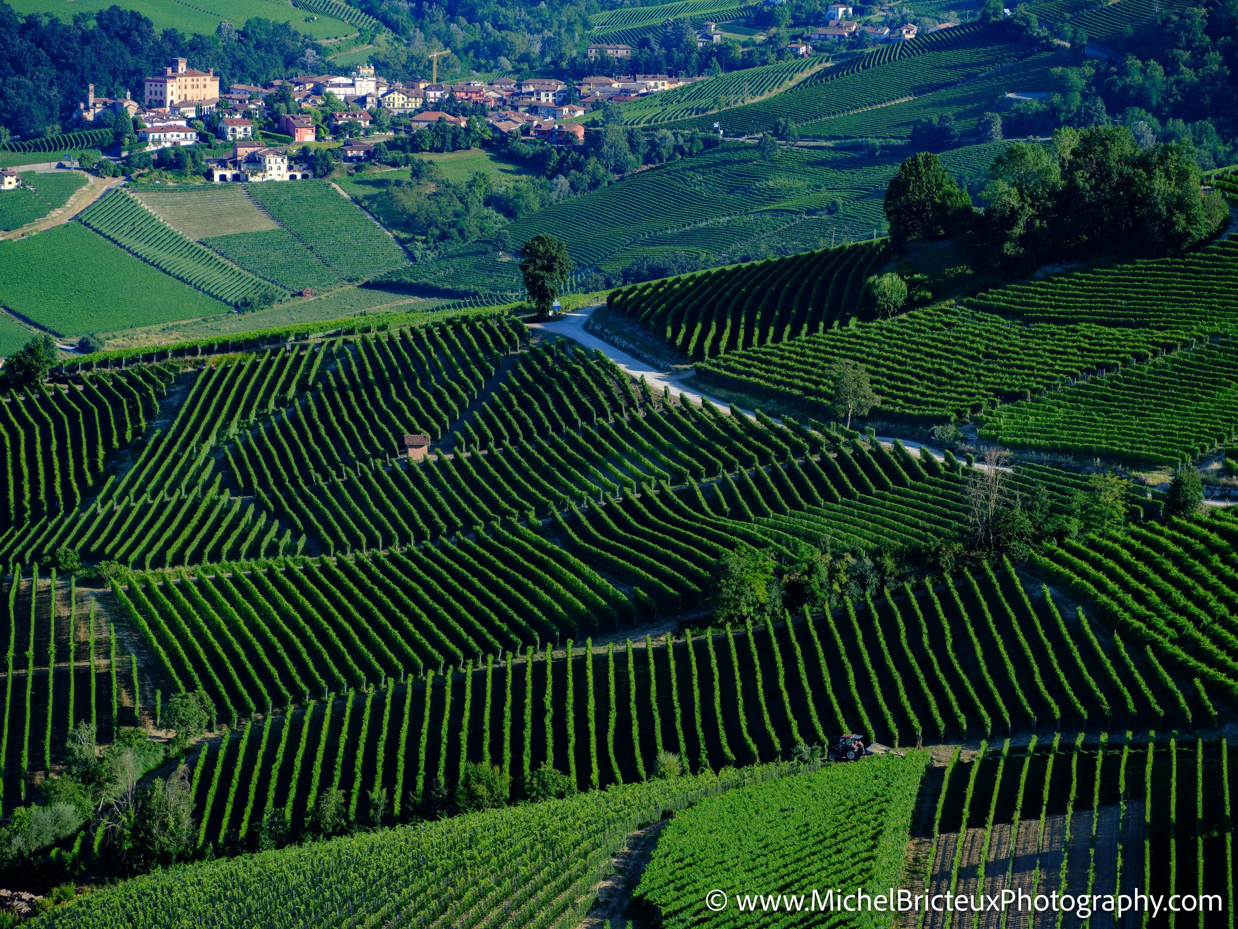 IT-Italia 2025 - Serralunga d Alba and wine country 0085 LowRes.jpg