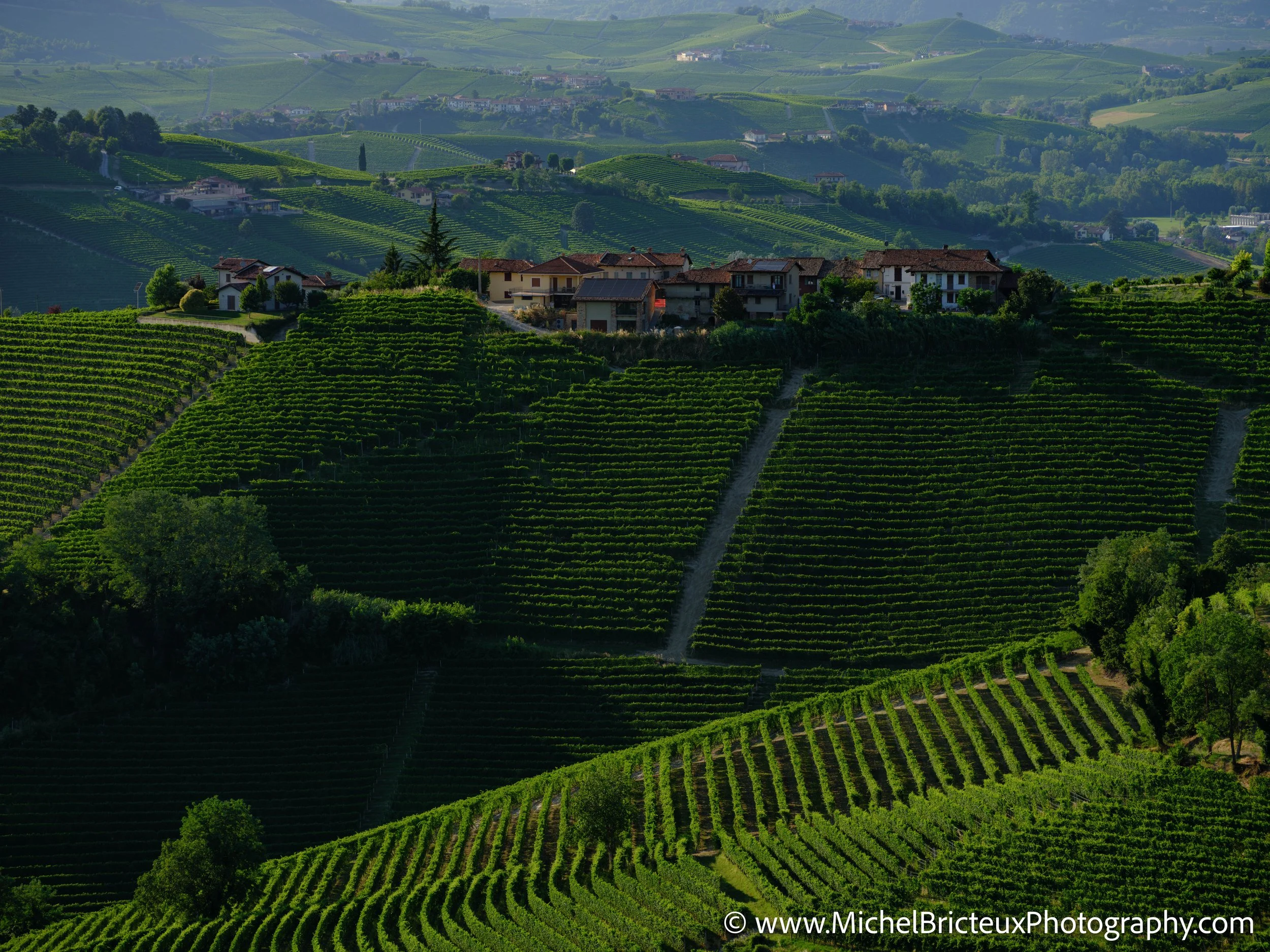 IT-Italia 2025 - Serralunga d Alba 0160 LowRes.jpg
