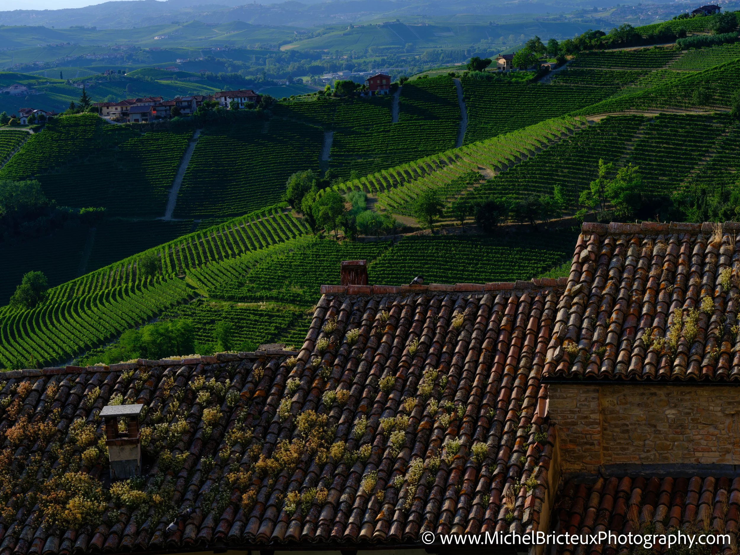 IT-Italia 2025 - Serralunga d Alba 0198 LowRes.jpg