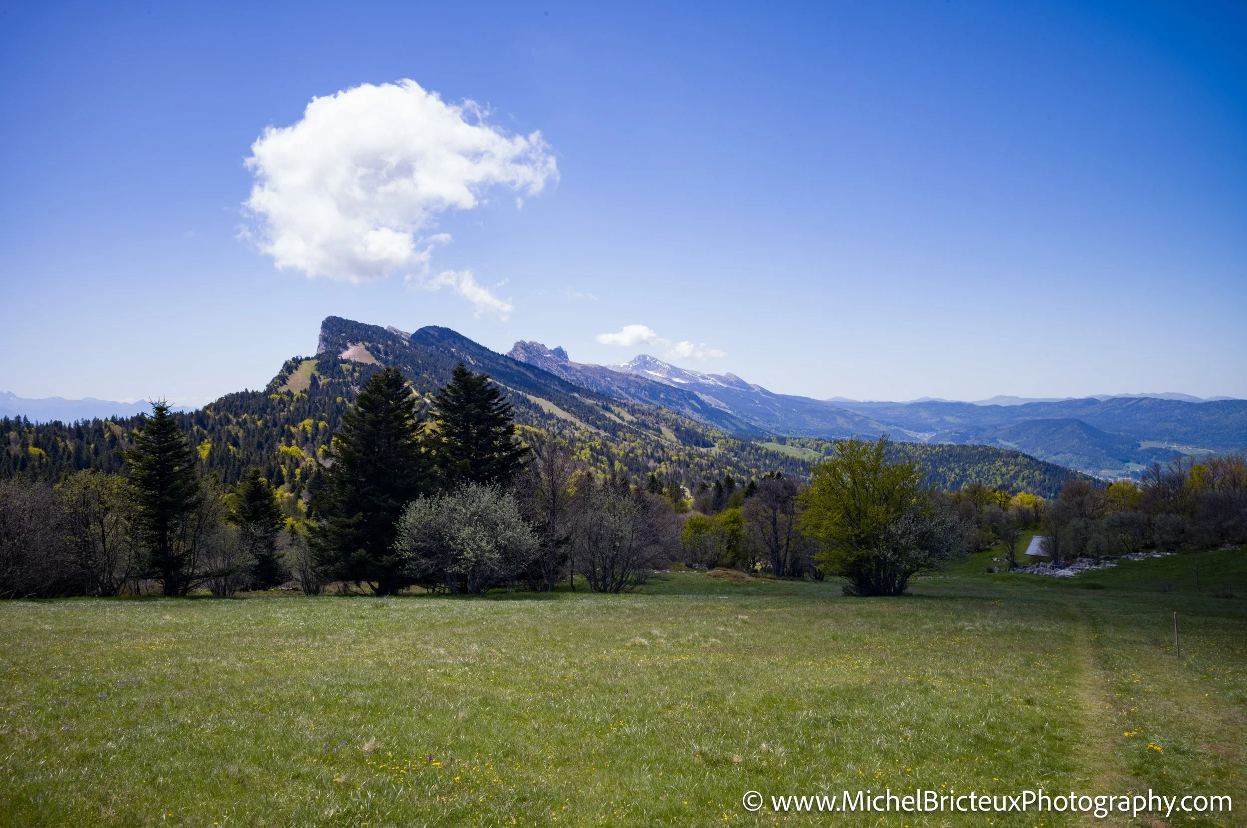 FR-Vercors, Randonnee au Moucherotte 05-2025 1007061-DxO_DeepPRIME 3 LowRes.jpg