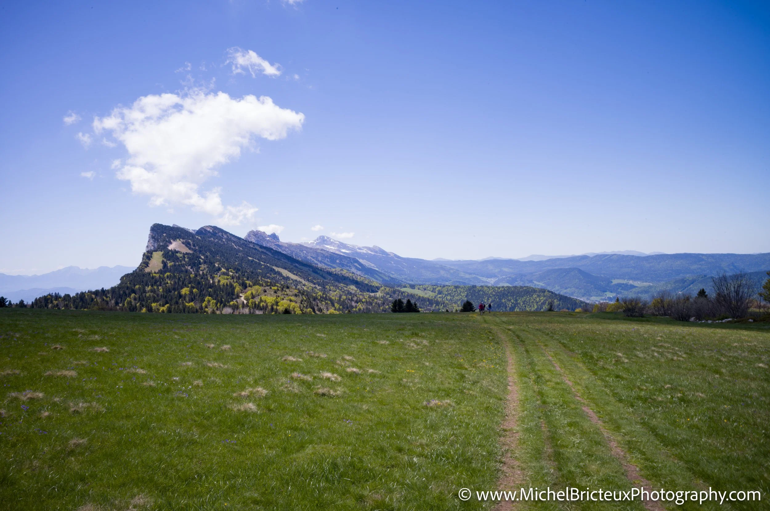 FR-Vercors, Randonnee au Moucherotte 05-2025 1007079-DxO_DeepPRIME 3 LowRes.jpg