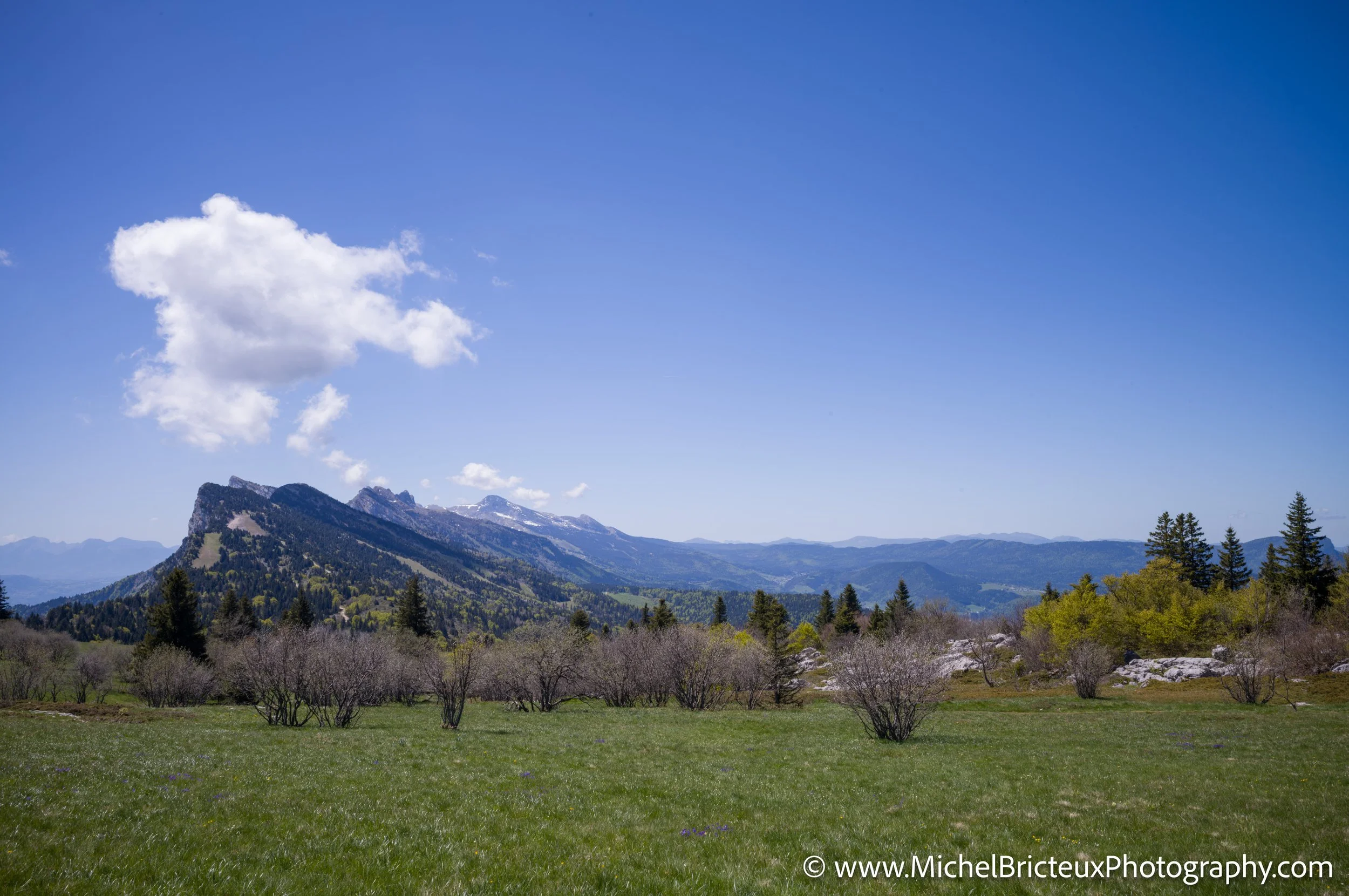 FR-Vercors, Randonnee au Moucherotte 05-2025 1007082-DxO_DeepPRIME 3 LowRes.jpg