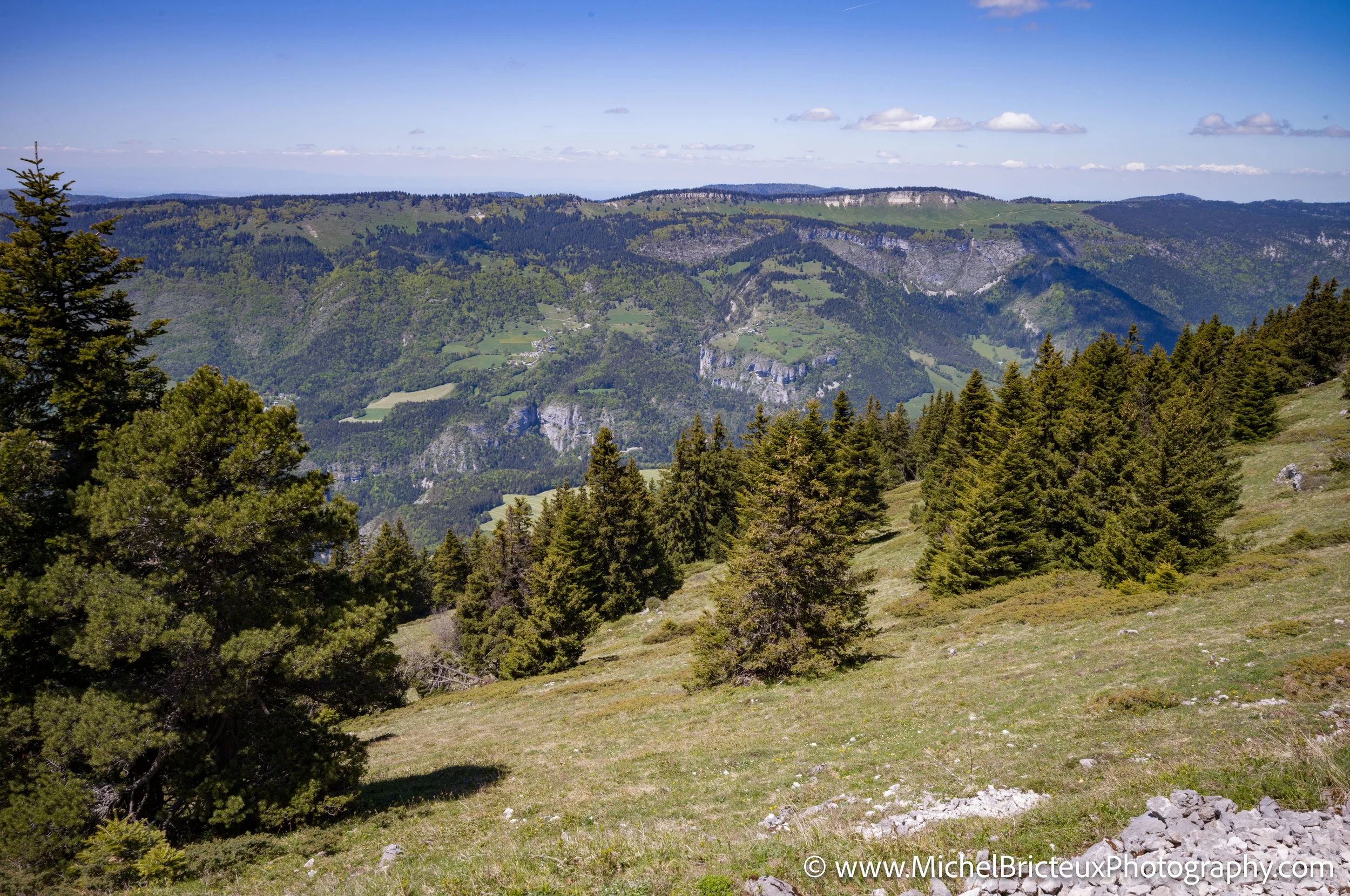 FR-Vercors, Randonnee au Moucherotte 05-2025 1007098-DxO_DeepPRIME 3 LowRes.jpg