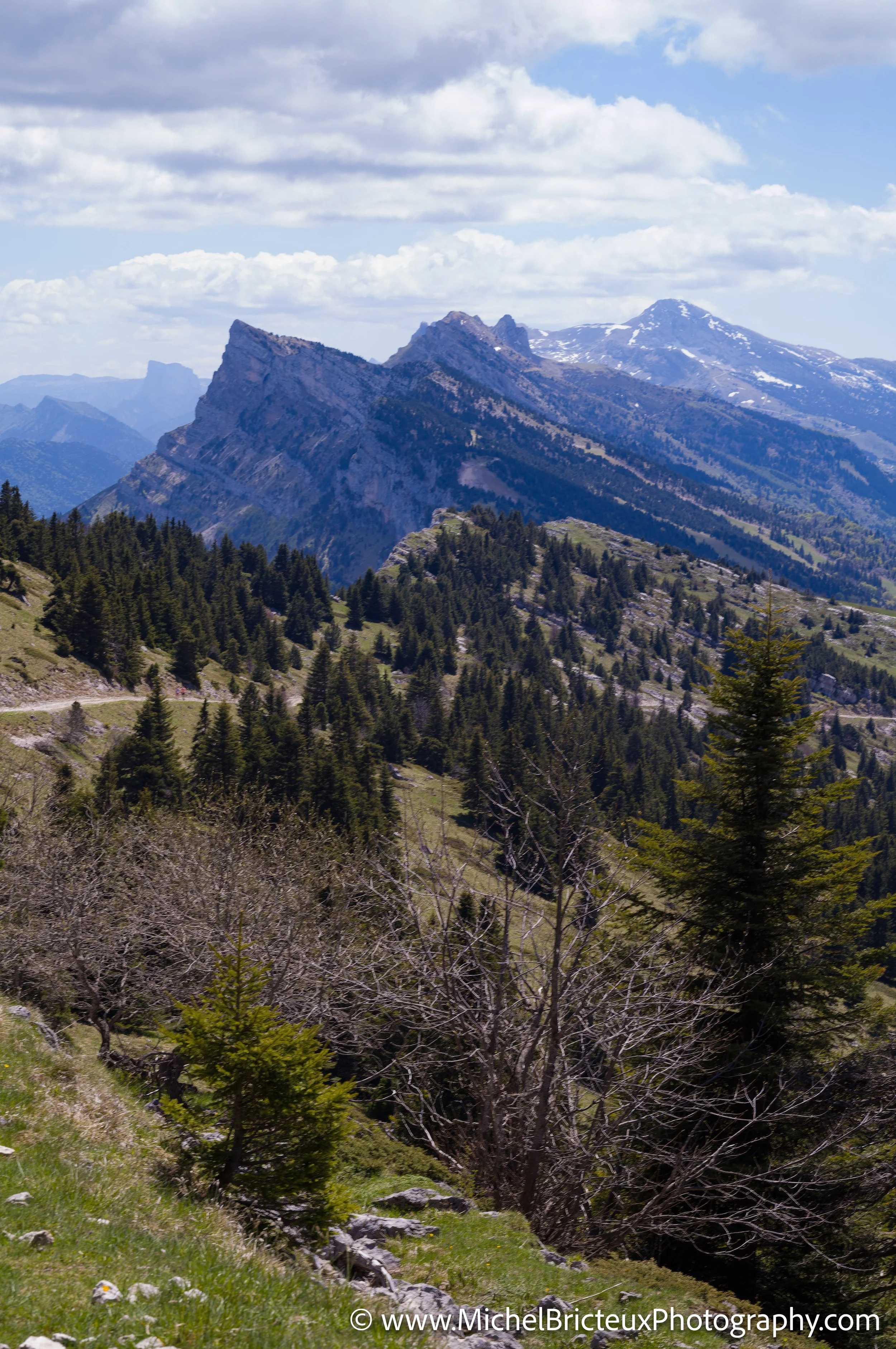 FR-Vercors, Randonnee au Moucherotte 05-2025 1007261-DxO_DeepPRIME 3 LowRes.jpg