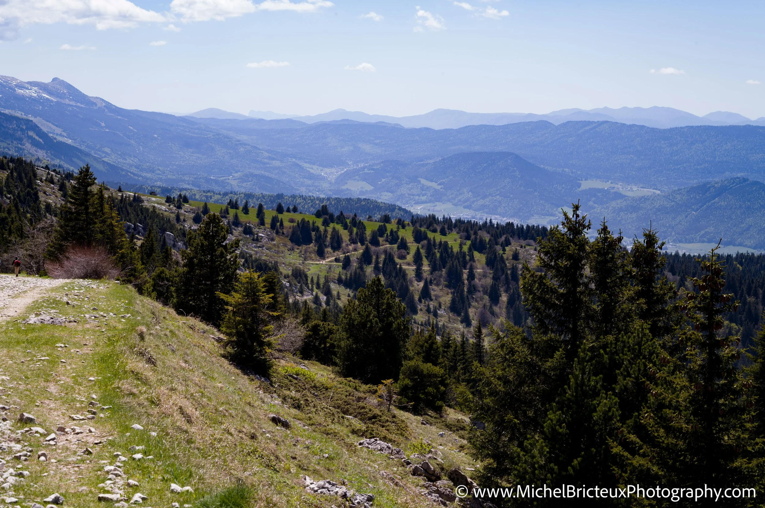 FR-Vercors, Randonnee au Moucherotte 05-2025 1007268-DxO_DeepPRIME 3 LowRes.jpg